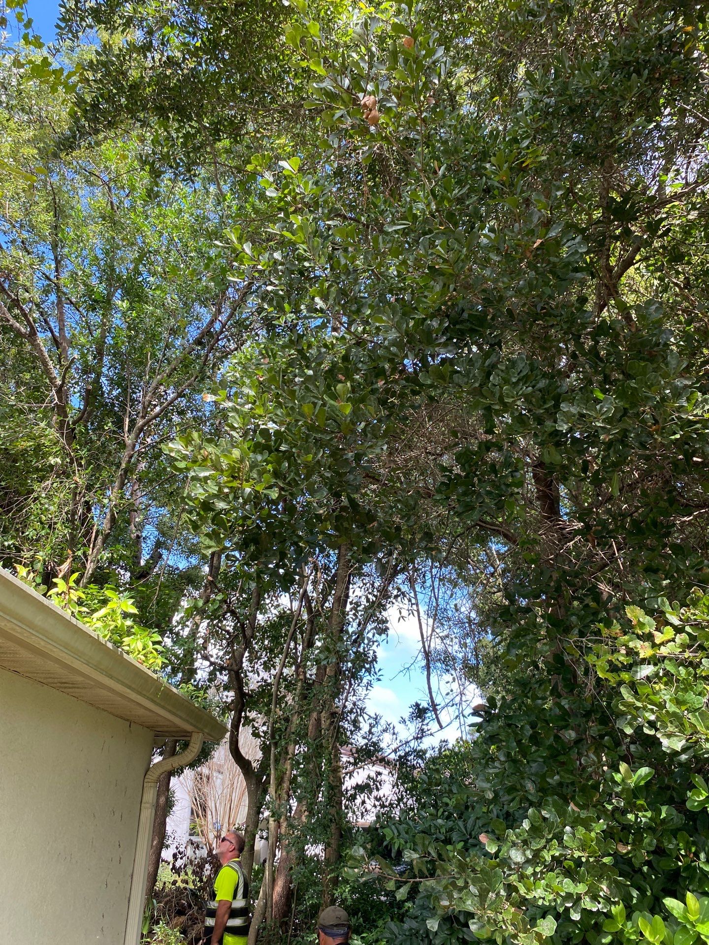 Deerwood Residence | Property Clean Up by ProGreen Services