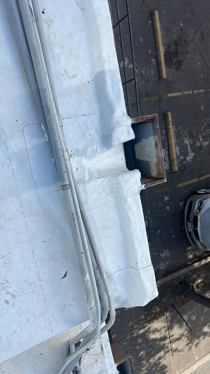 TPO THAI TOP by Bayfront Roofing and Construction