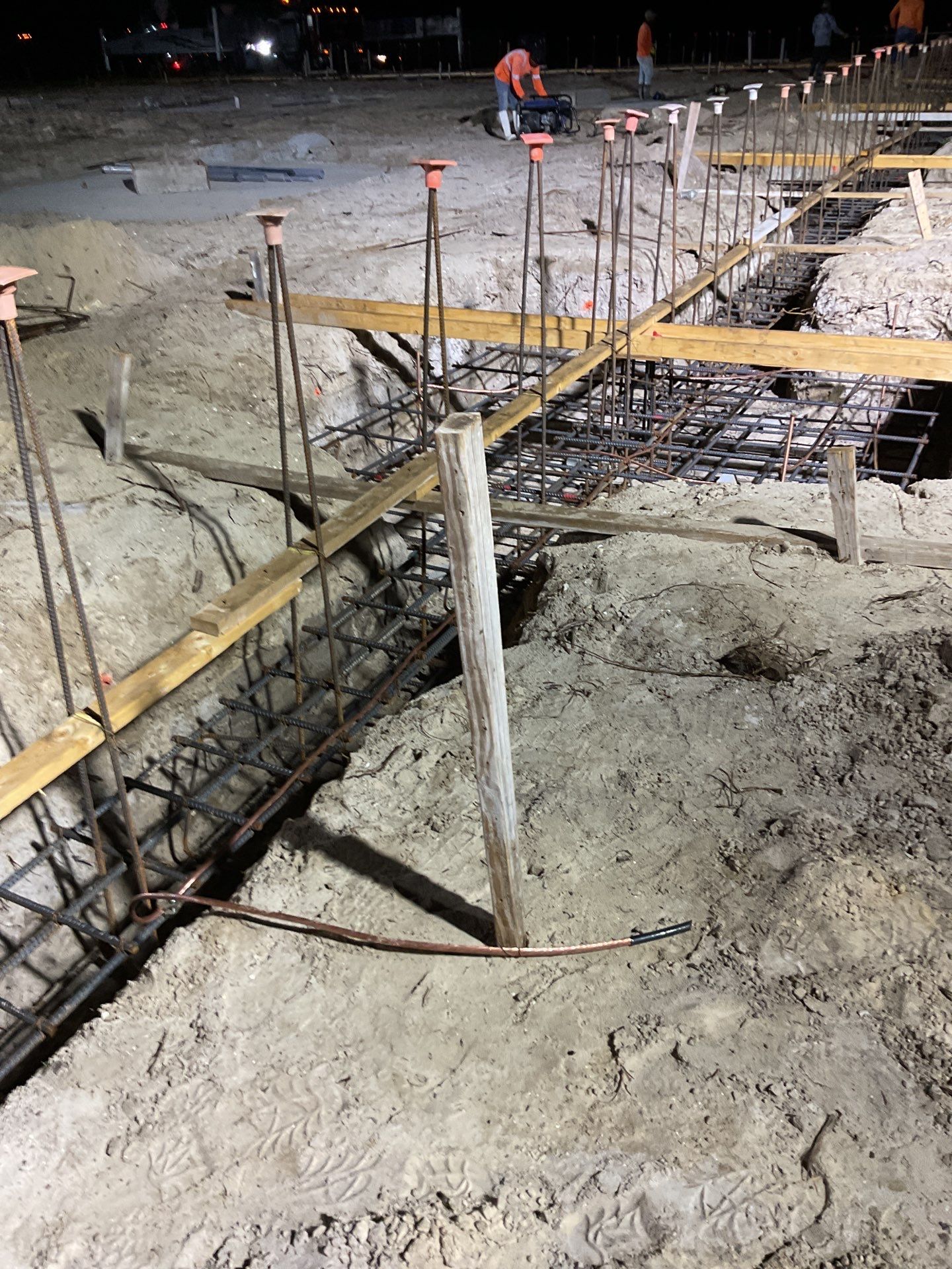 TRACTOR SUPPLY NAPLES by Southern Gulf Construction