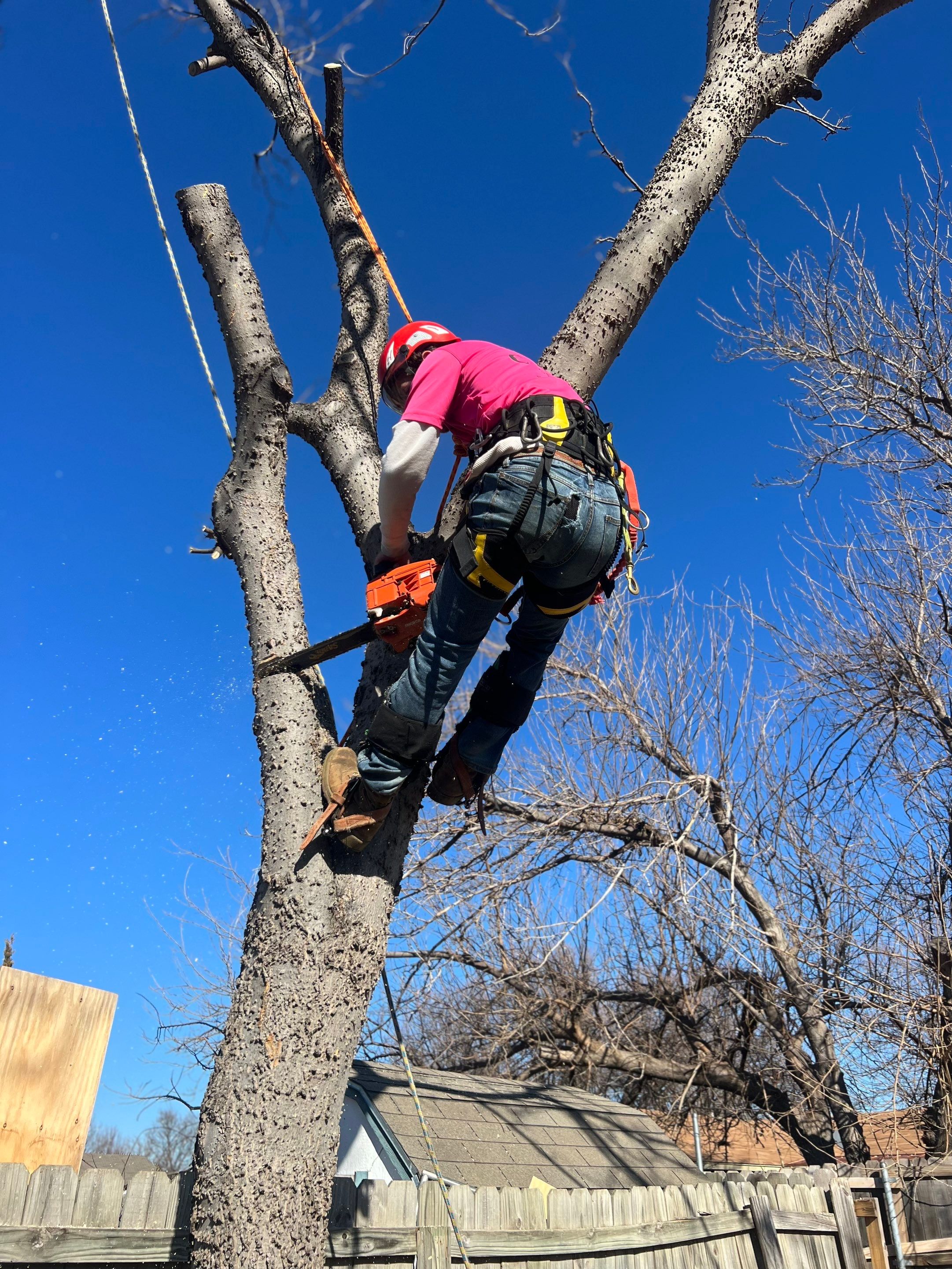 Fence , Concrete Pads , and Tree Removal by Clays Services Inc