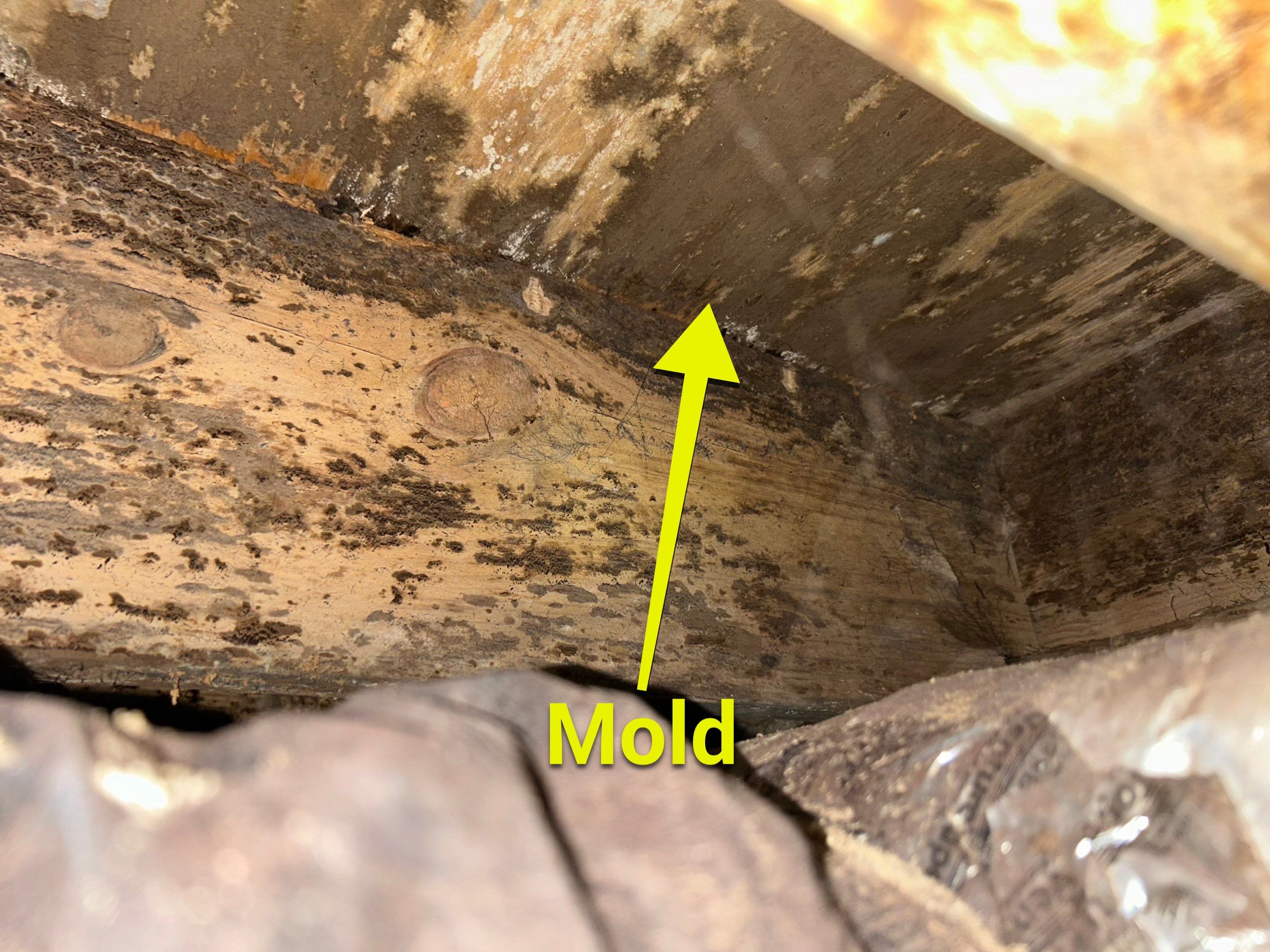 Structural Repairs inludiing sub-floor removal, new floor joists installed, girder replacmeent and dropped girder installed. by Impact Crawlspace