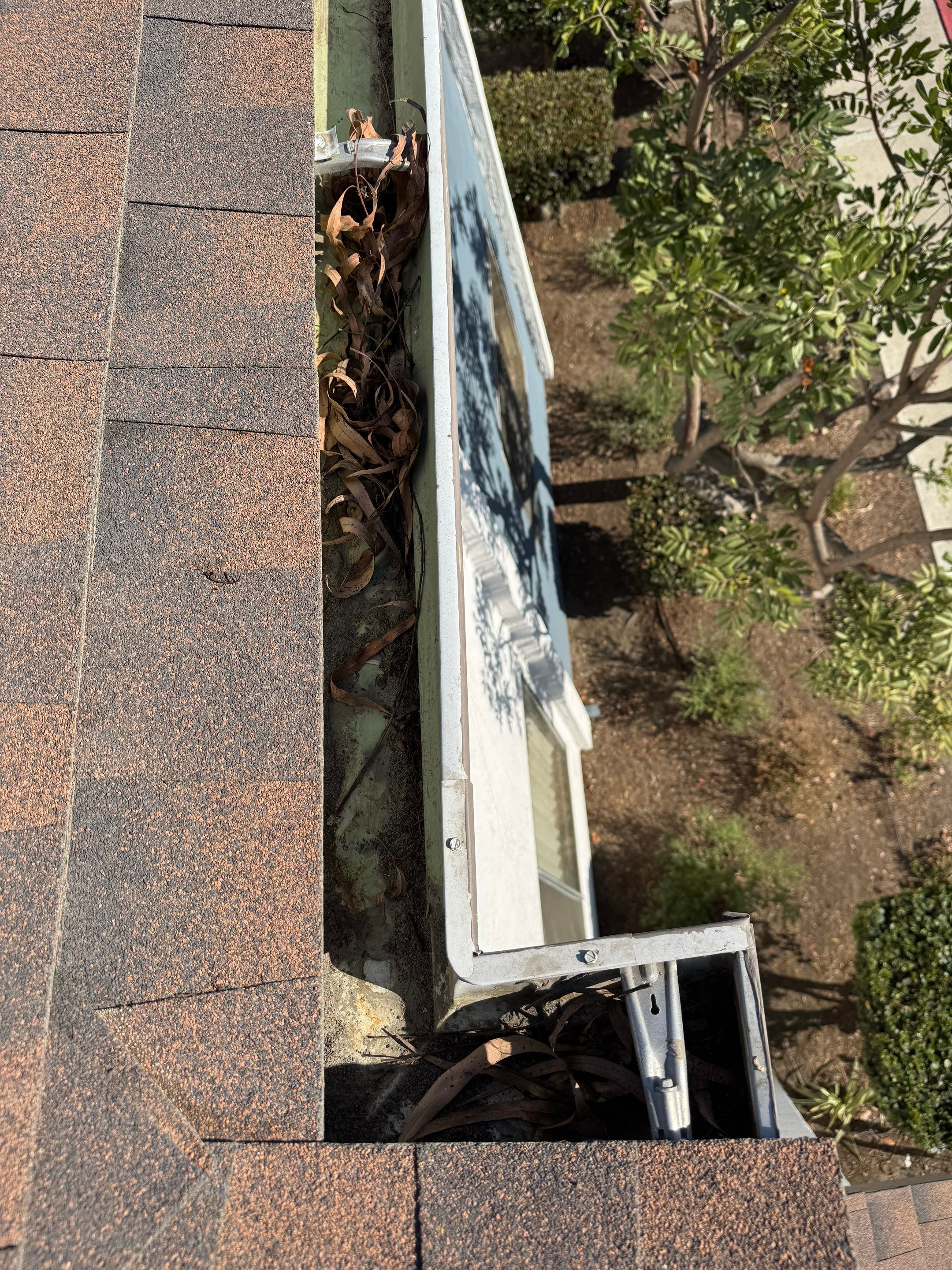 HOA gutter cleaning before photo.