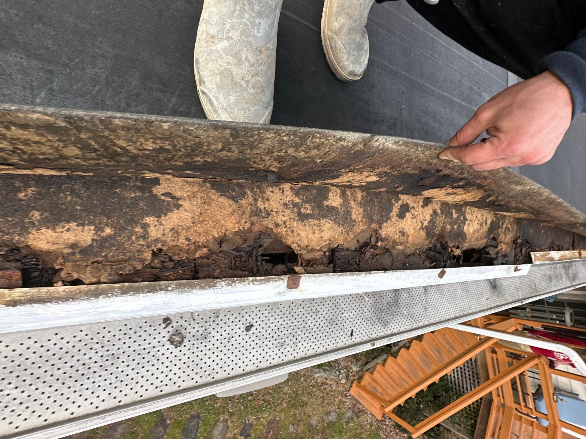 Roof Replacement in Freeland, MD • Matt H. by Seipp Roofing, LLC