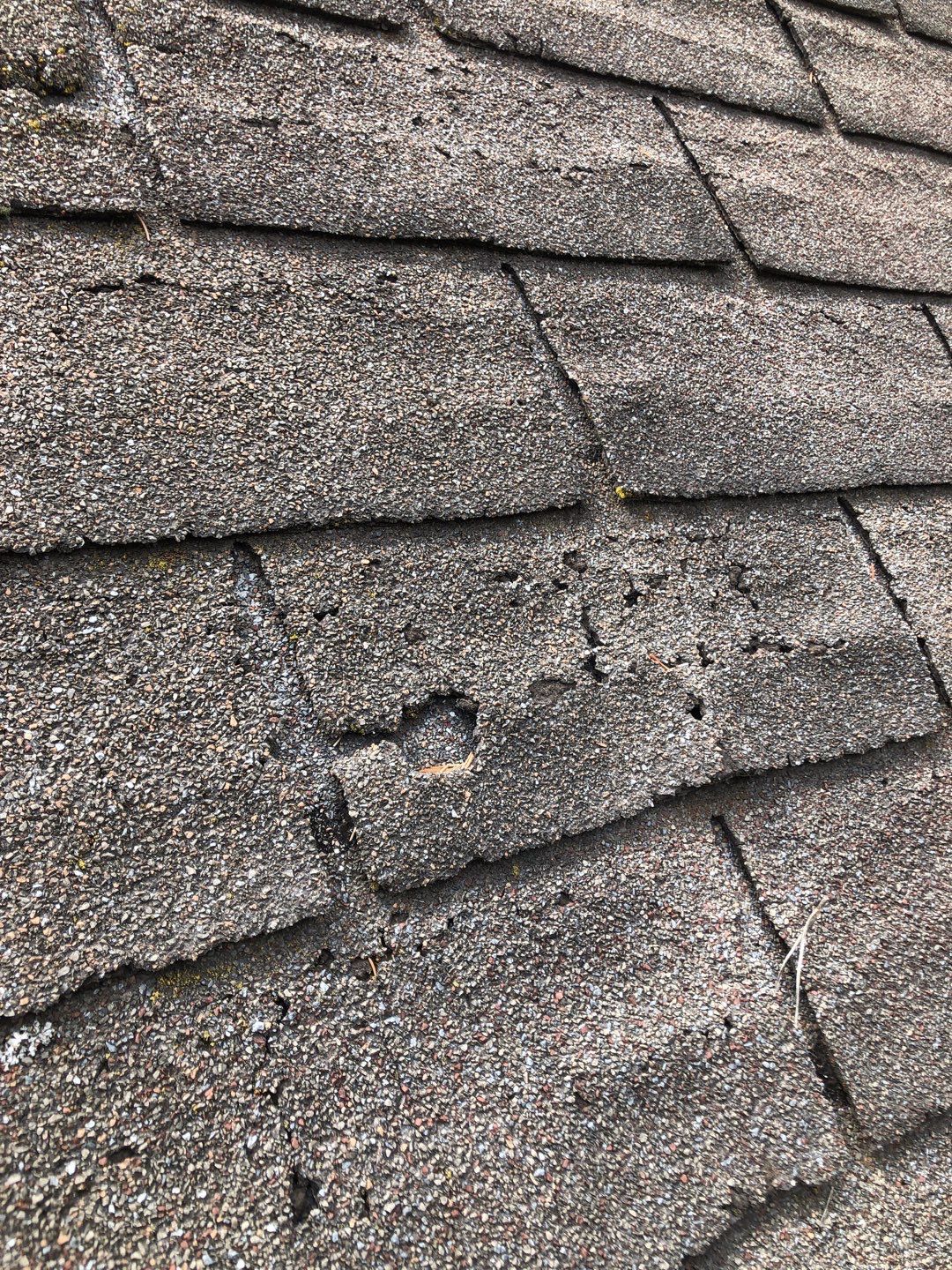 Roof Replacement using CertainTeed Landmark by 180 Contractors