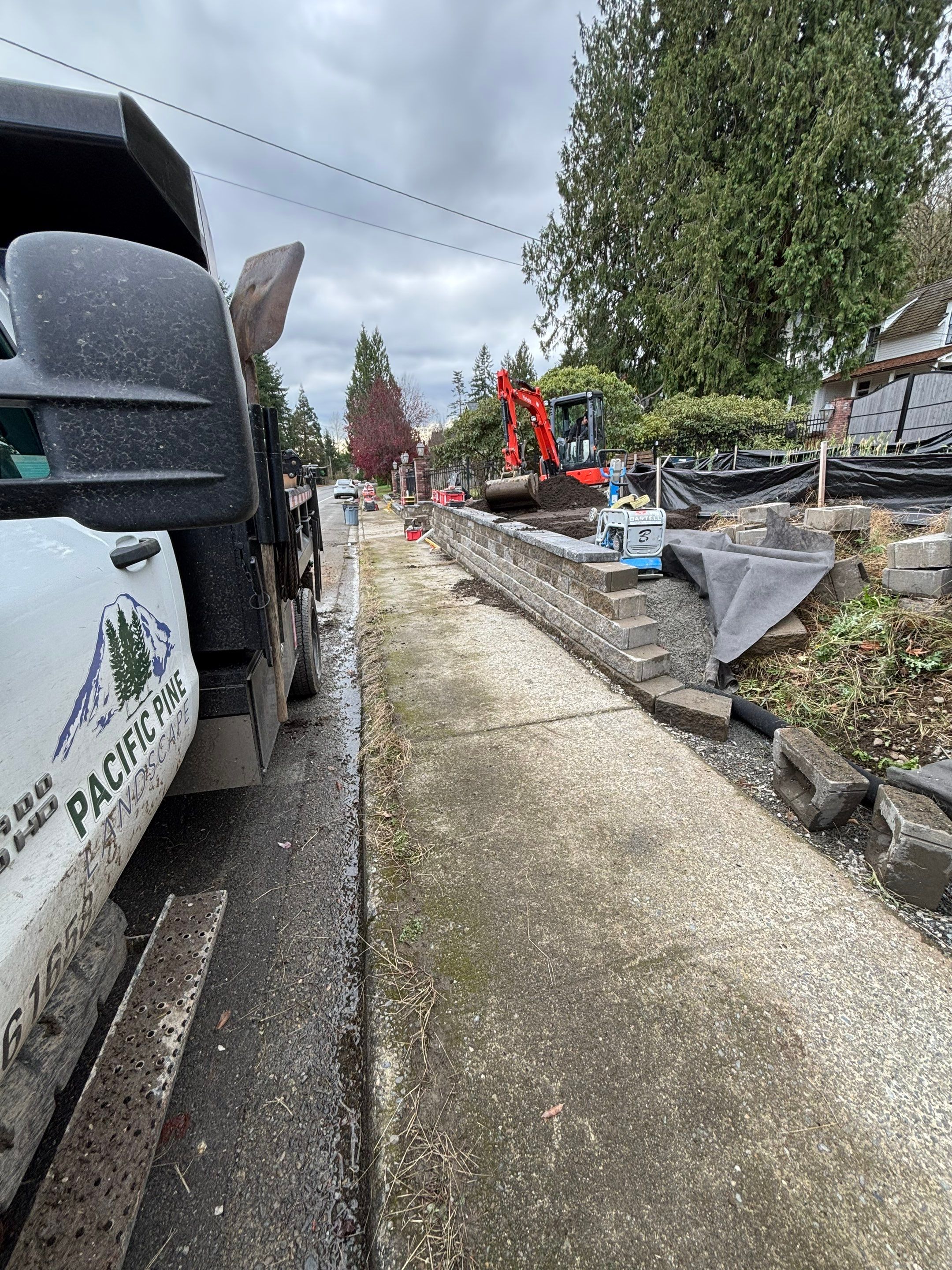 Maple Ave Renovation by Pacific Pine Landscape