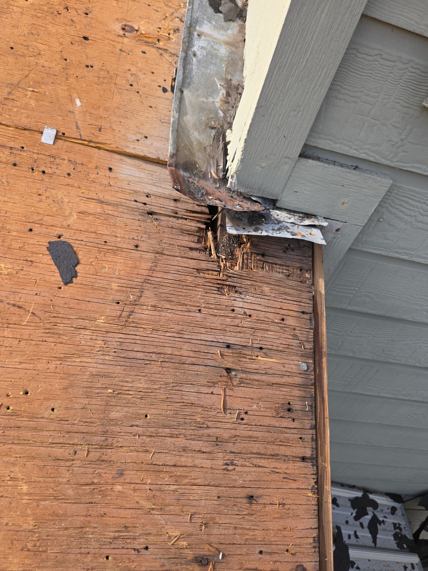 Roof Repair Sugarland by Roof Repair Services LLC