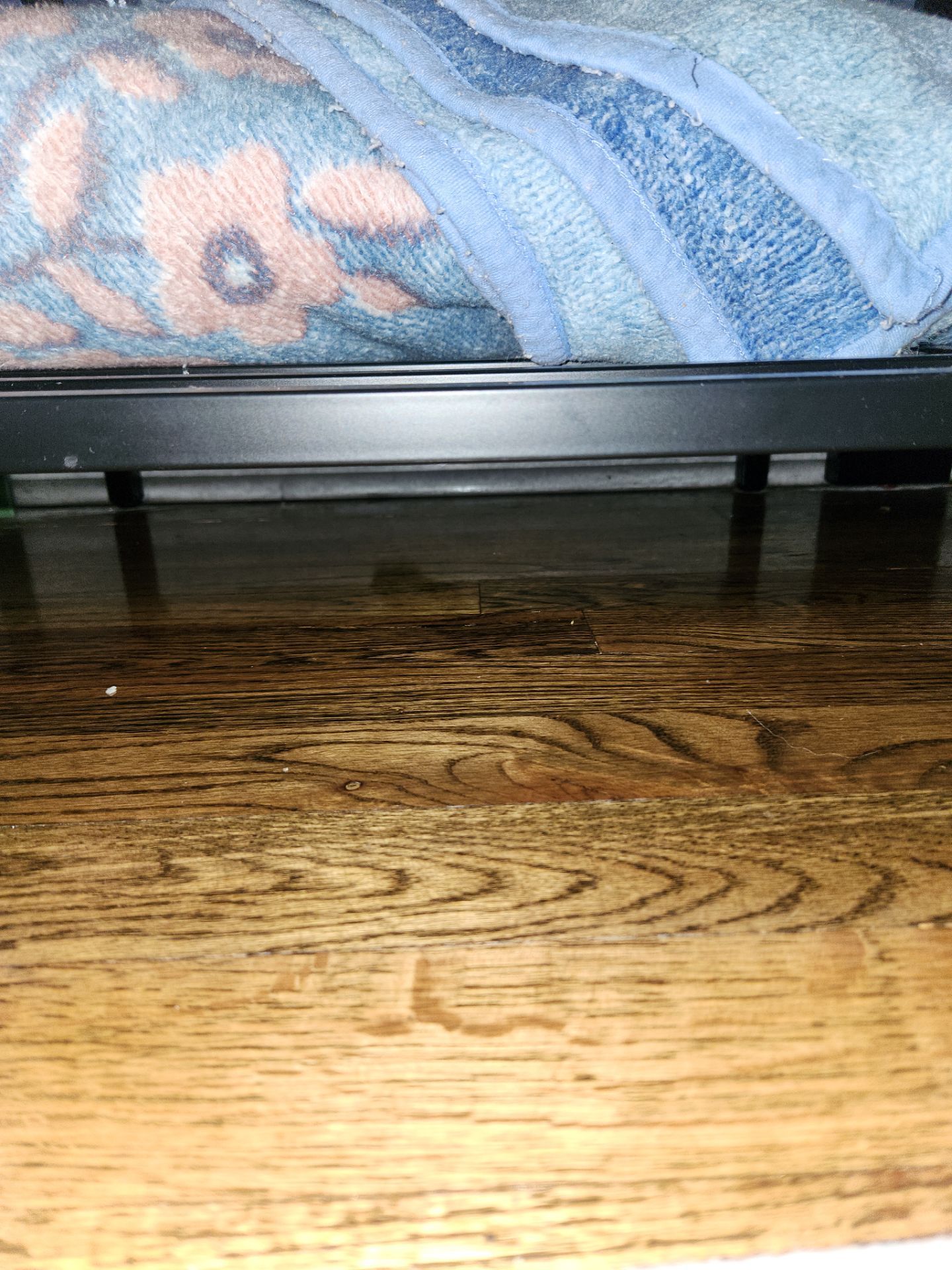 Project in Chicago by Xo Clean Services 