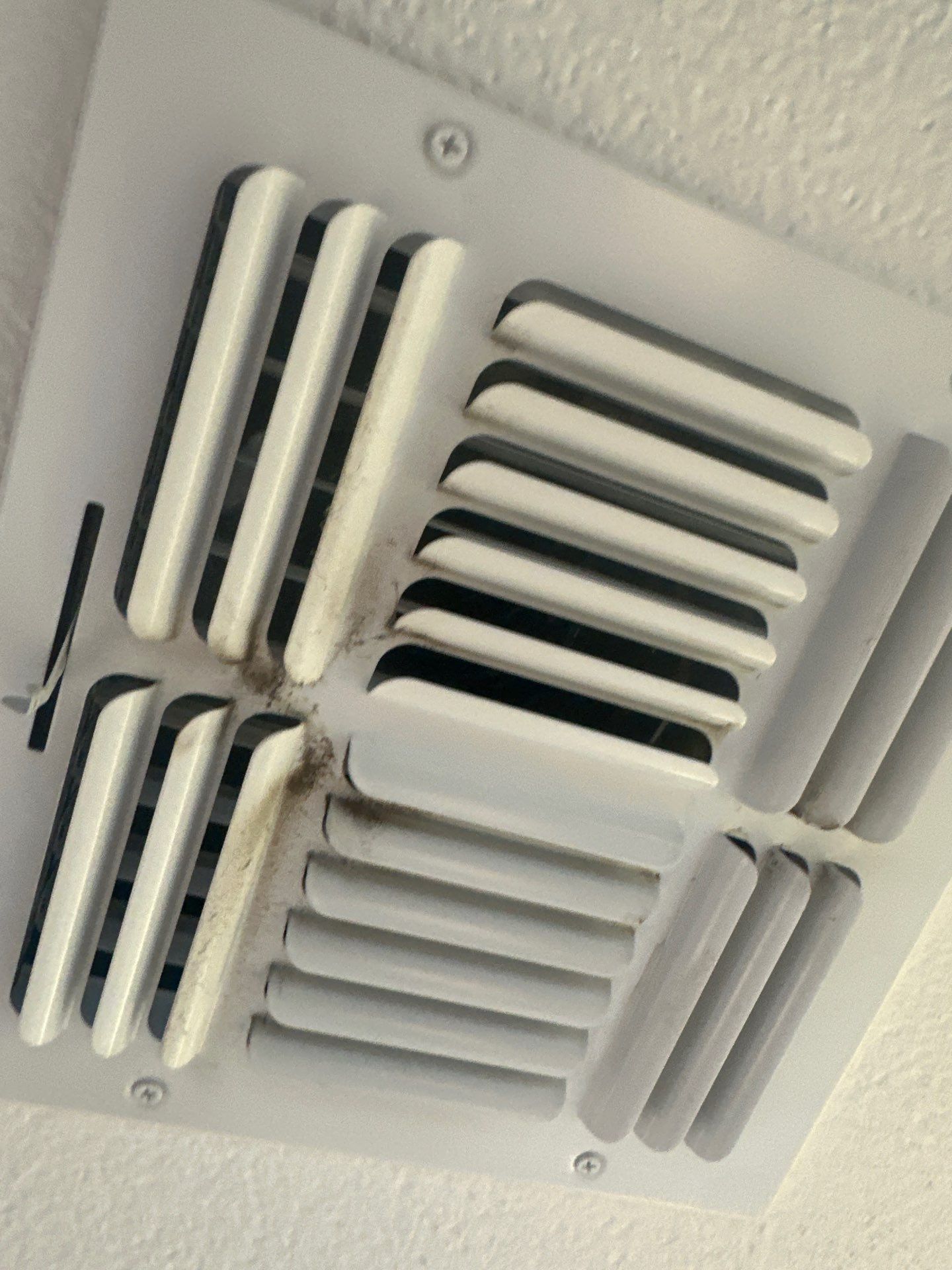Air Duct Cleaning in Apopka by Hygienic Air, Inc