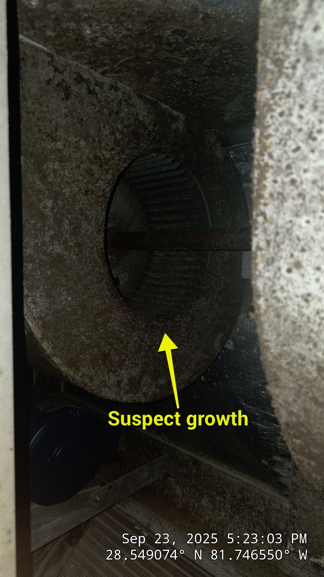 Commercial Air Duct Cleaning in Clermont  by Hygienic Air, Inc