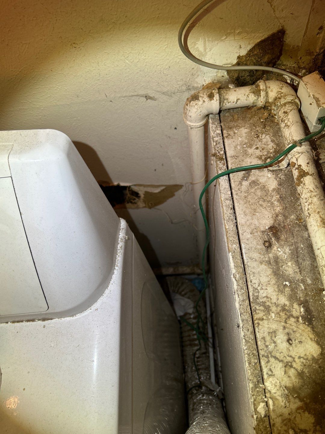 Mold Damage Project in Littleton by Accountable Home Services