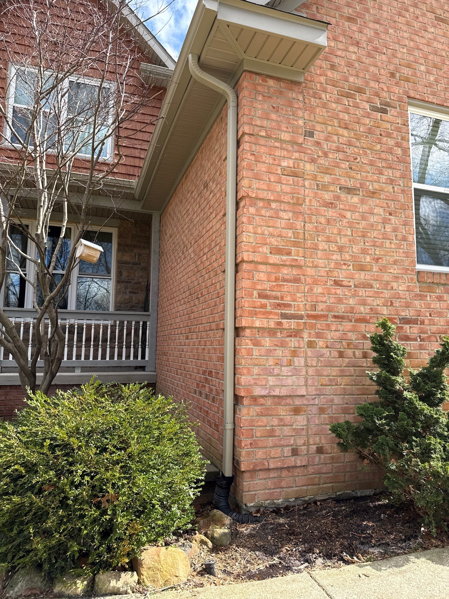 Project in Holly by Sunrise Seamless