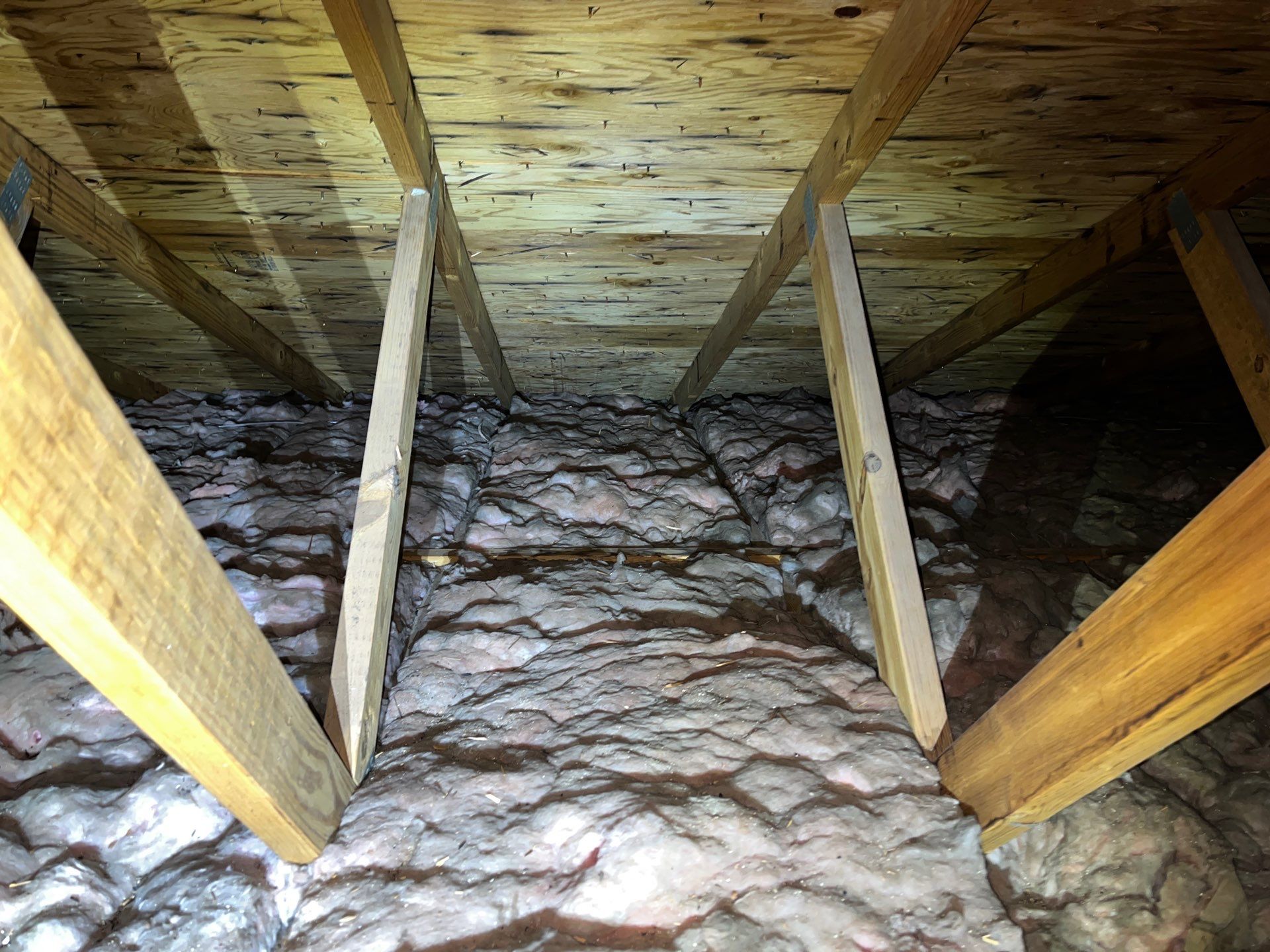 Addressing Attic Mold and Upgrading Insulation in Cranberry Township, PA 16066 by Home Environment Solutions