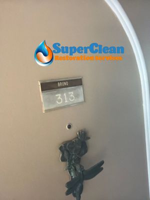Residential Mold Remediation and Interior Moisture Damage Assessment in Palm Beach