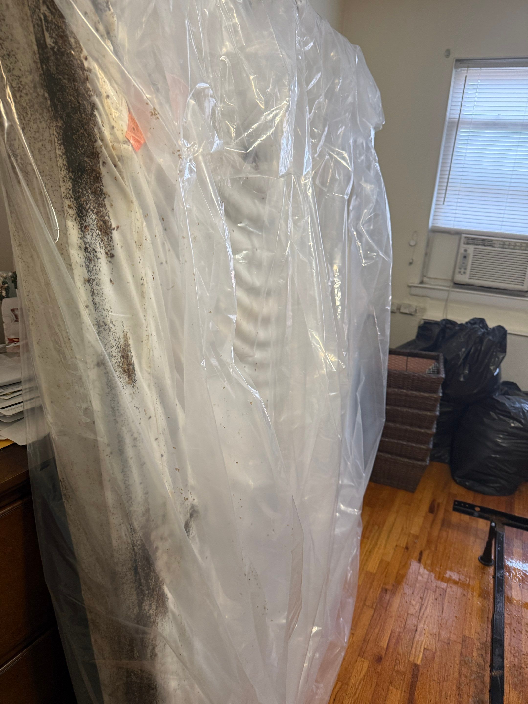 Project in Brooklyn by Ace Bedbug Exterminating