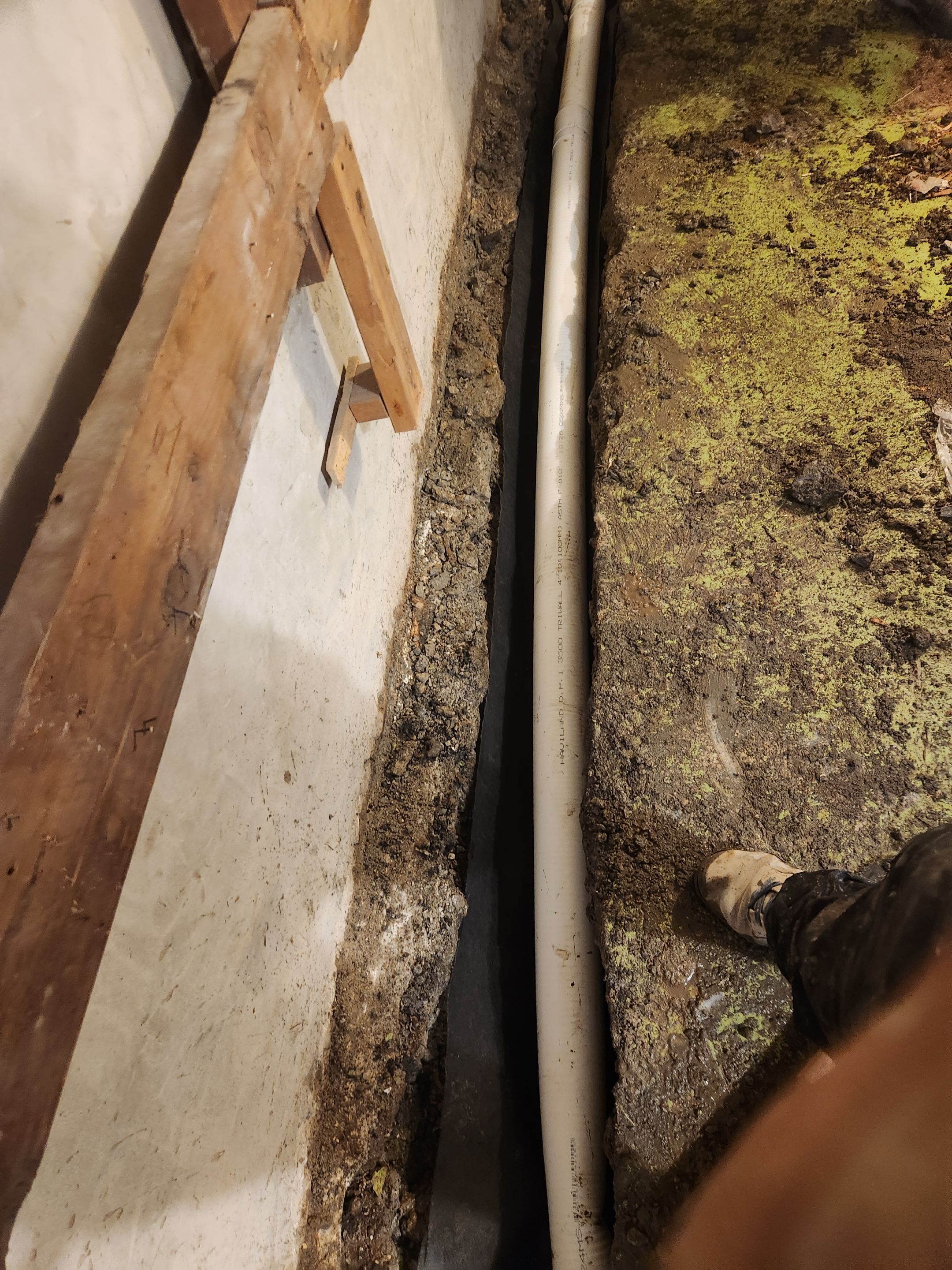 Interior French Drain & Mold Remediation Little Falls NJ by Pure Service Pro, LLC 