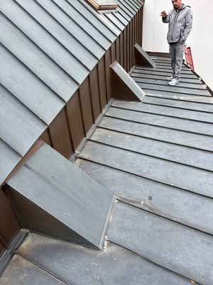 Metal Roof Repair in Tanglewood
