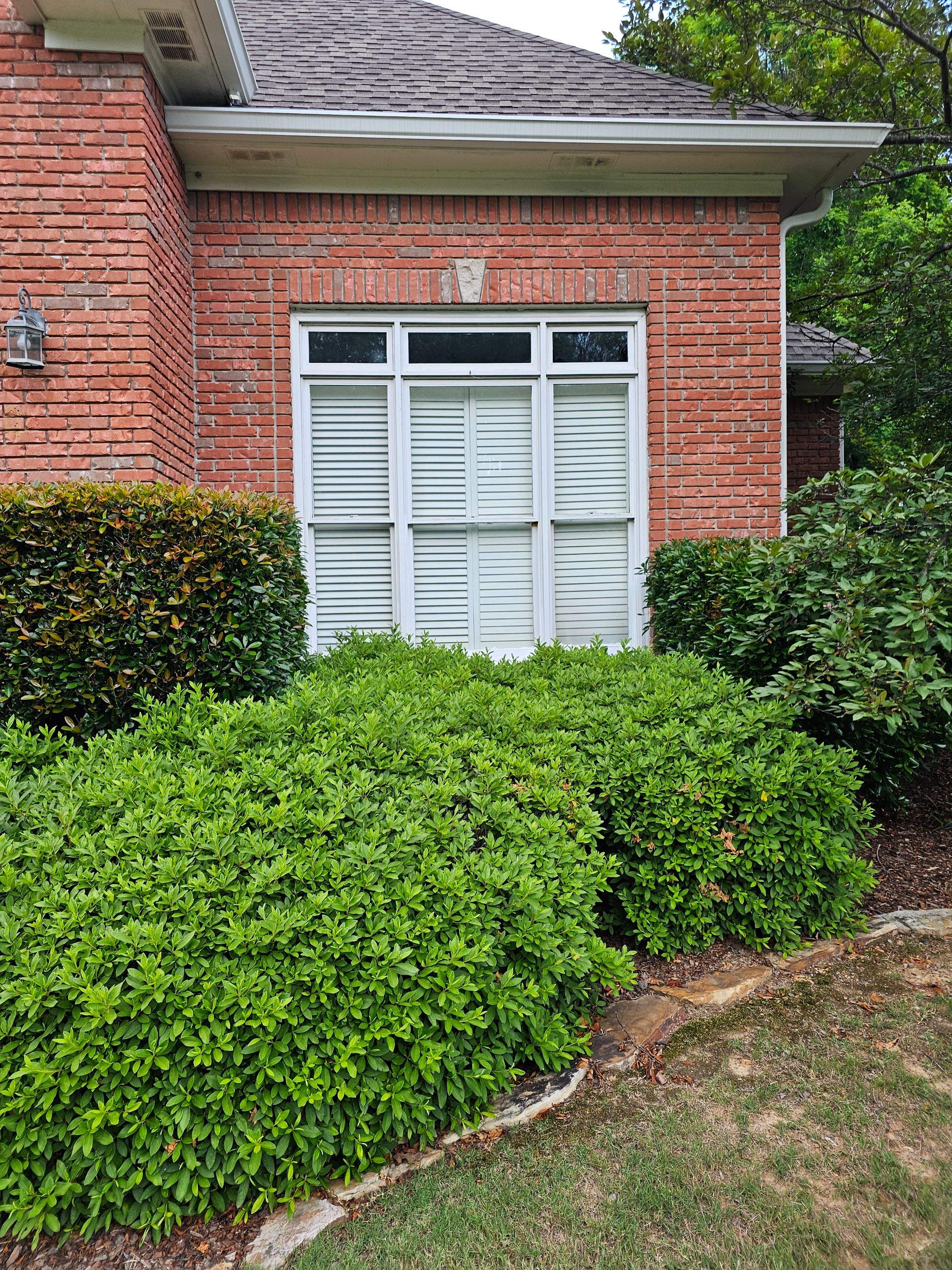 Arrington Project in Hoover by The Window Source