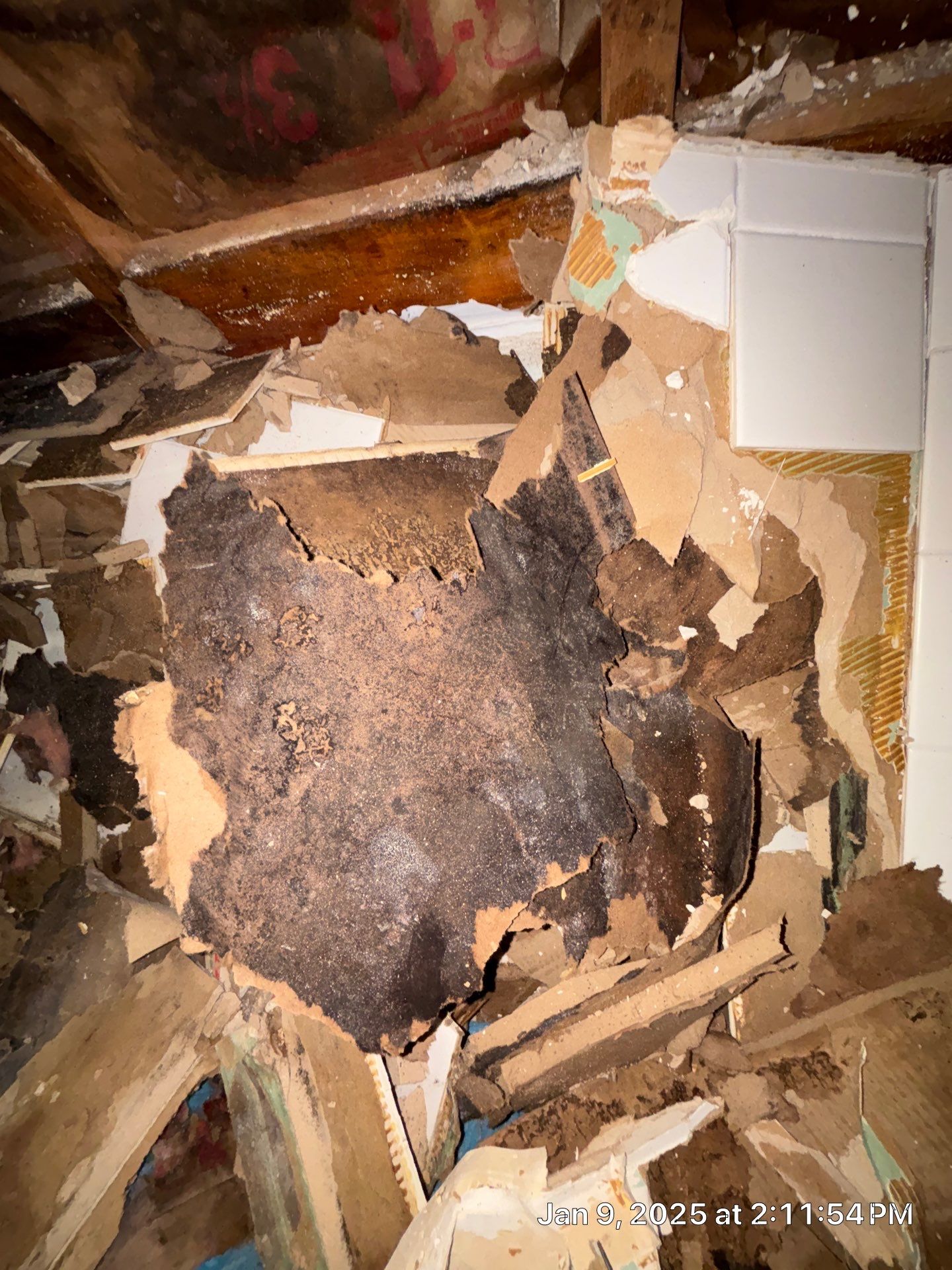 Water Damage Repair In Sarasota by Ampm Restoration Services
