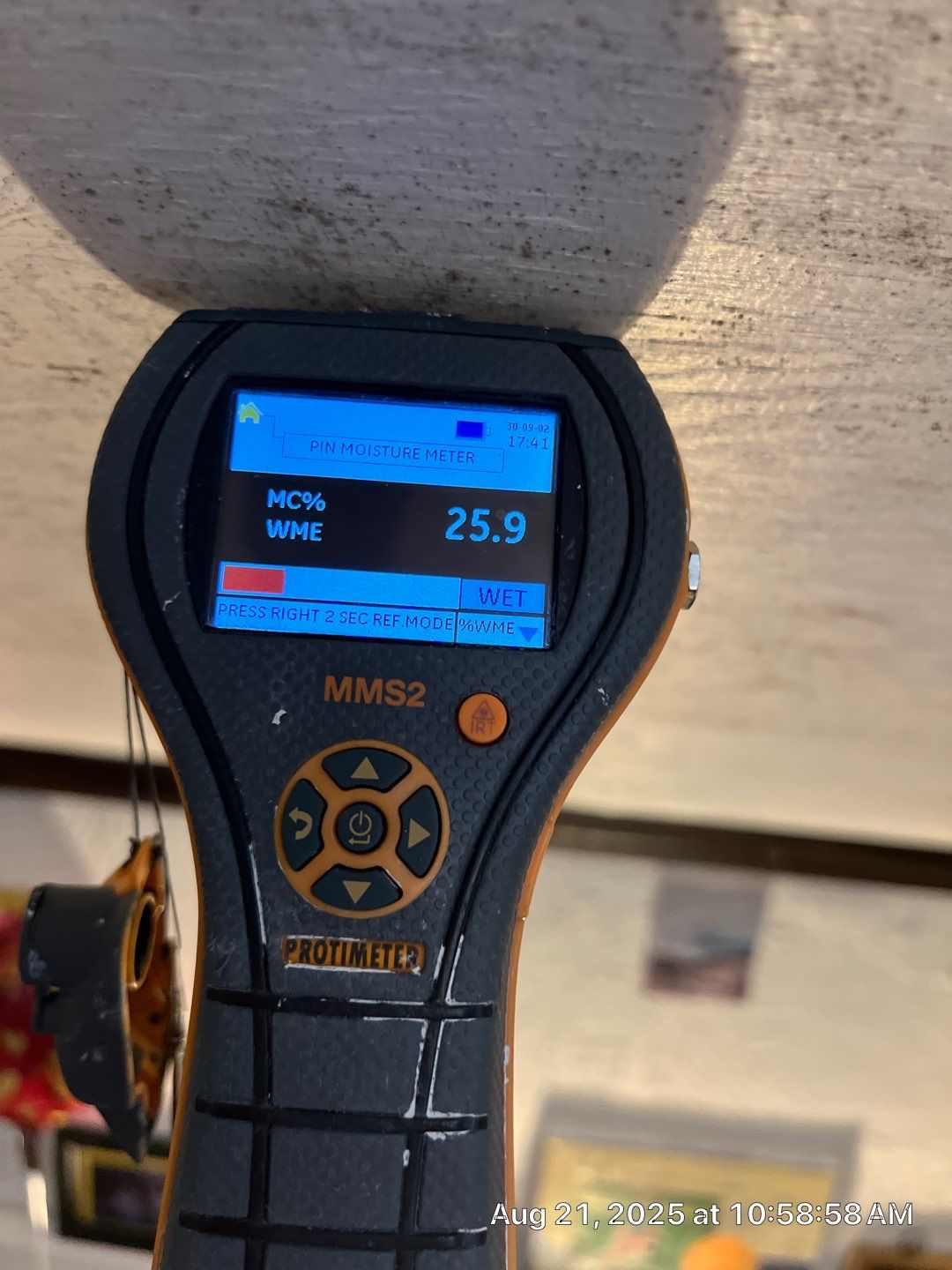Mold Inspection & Remediation In Bradenton, FL by Ampm Restoration Services