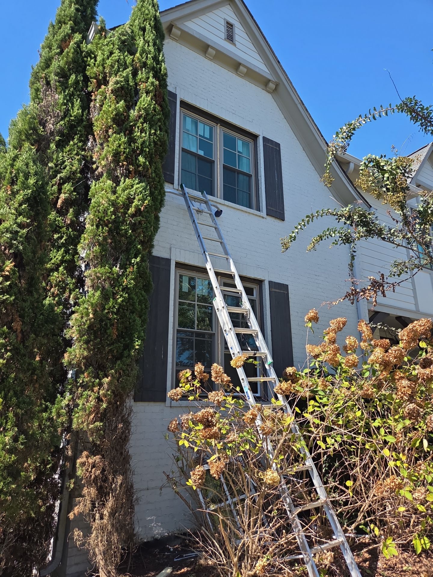 Kothary Project in Vestavia Hills by The Window Source