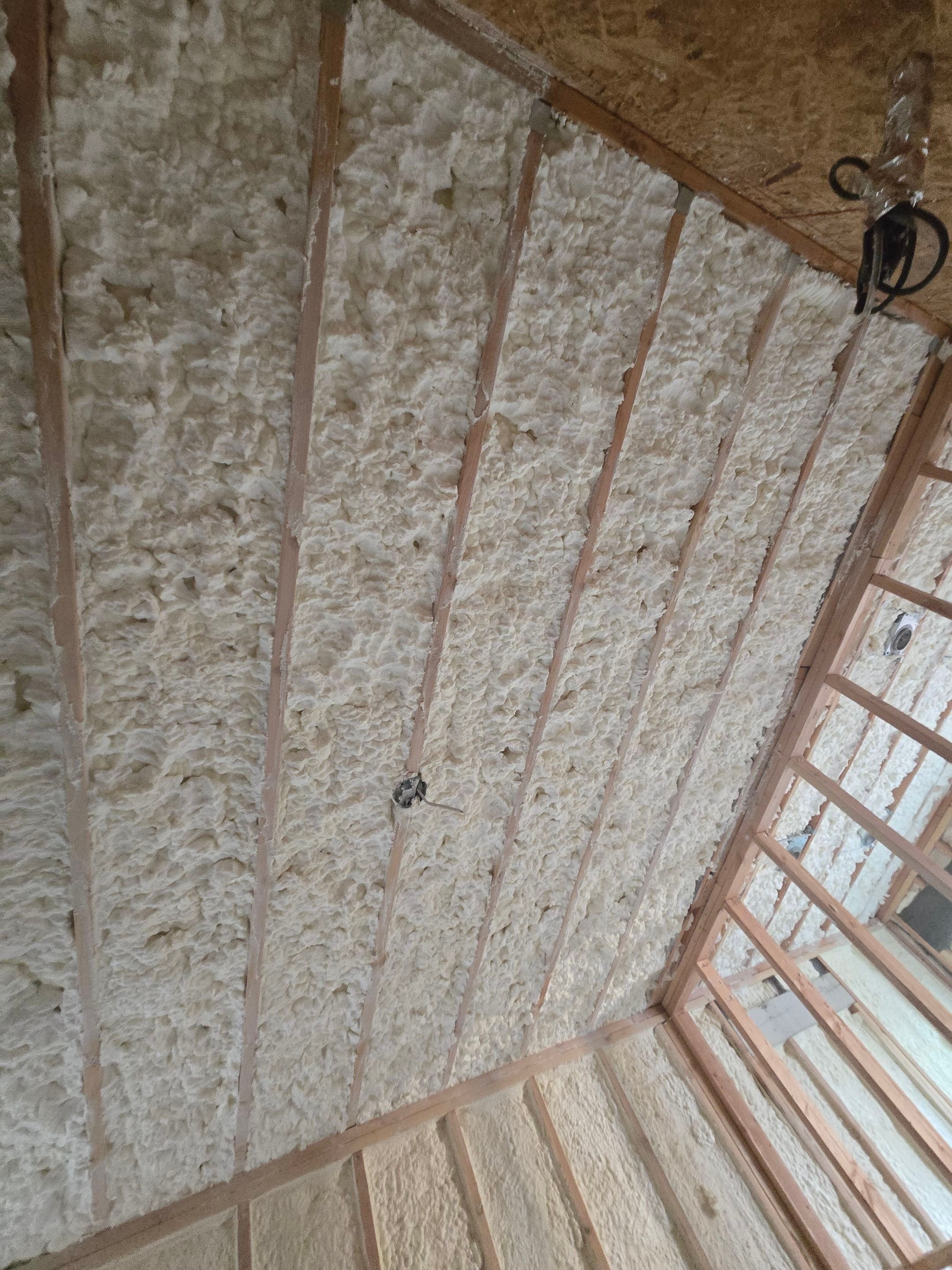 Project in Los Angeles by Insulation Labs