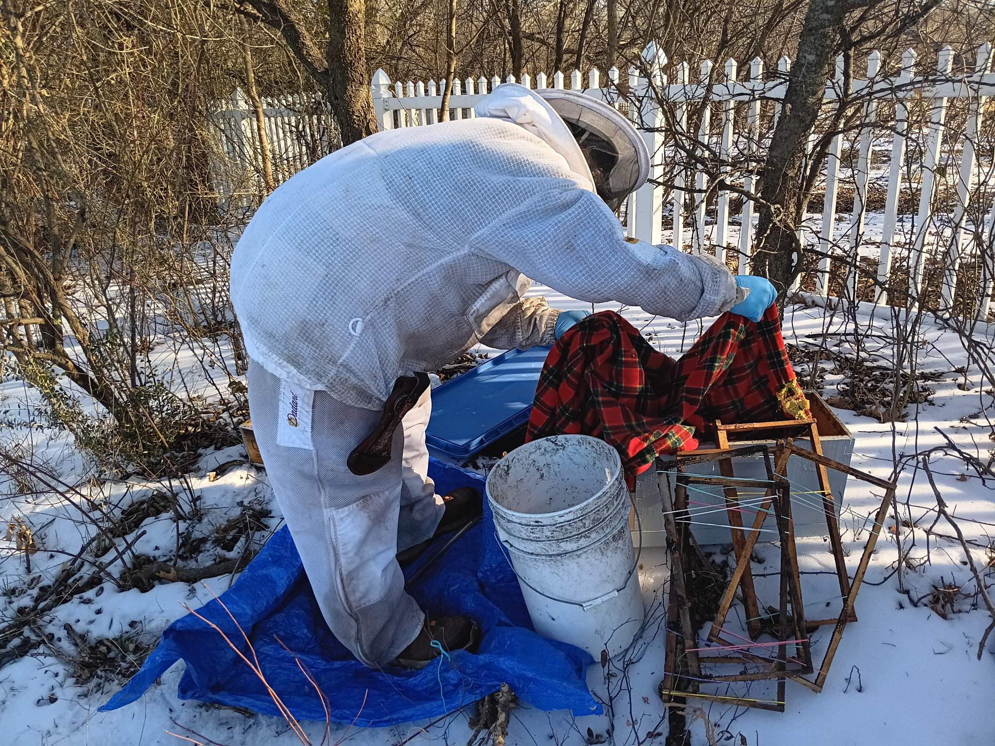 Winter Freeze Bees by Rockwall Honey Bee Company