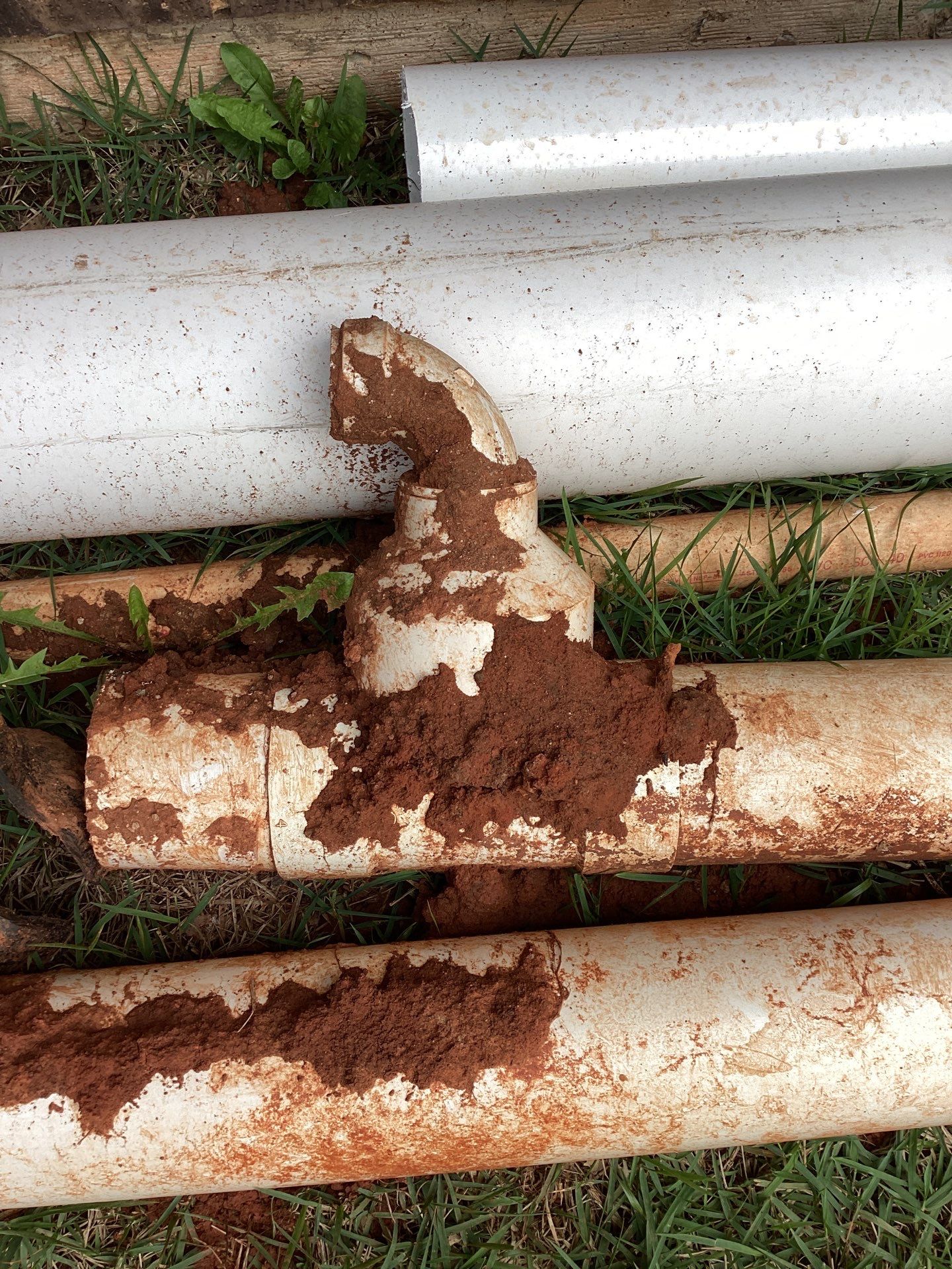 Project in Edmond by PRO-ROOTER