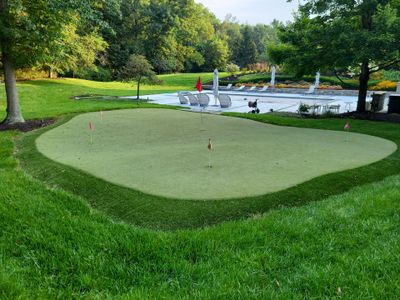 Residential Putting Green Maintenance (2010 Green Installation)