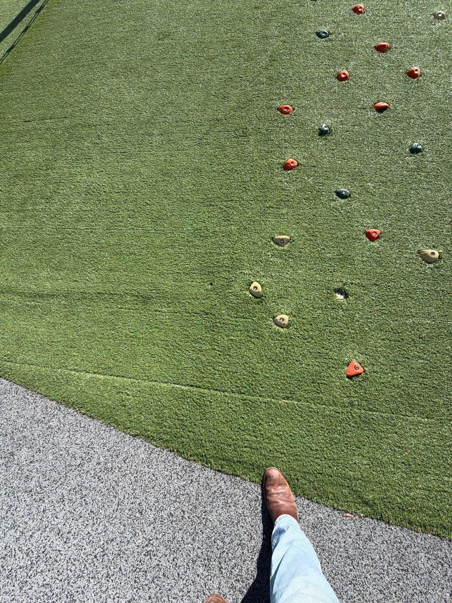 Switchyard Park by ForeverLawn NEIN/INDY