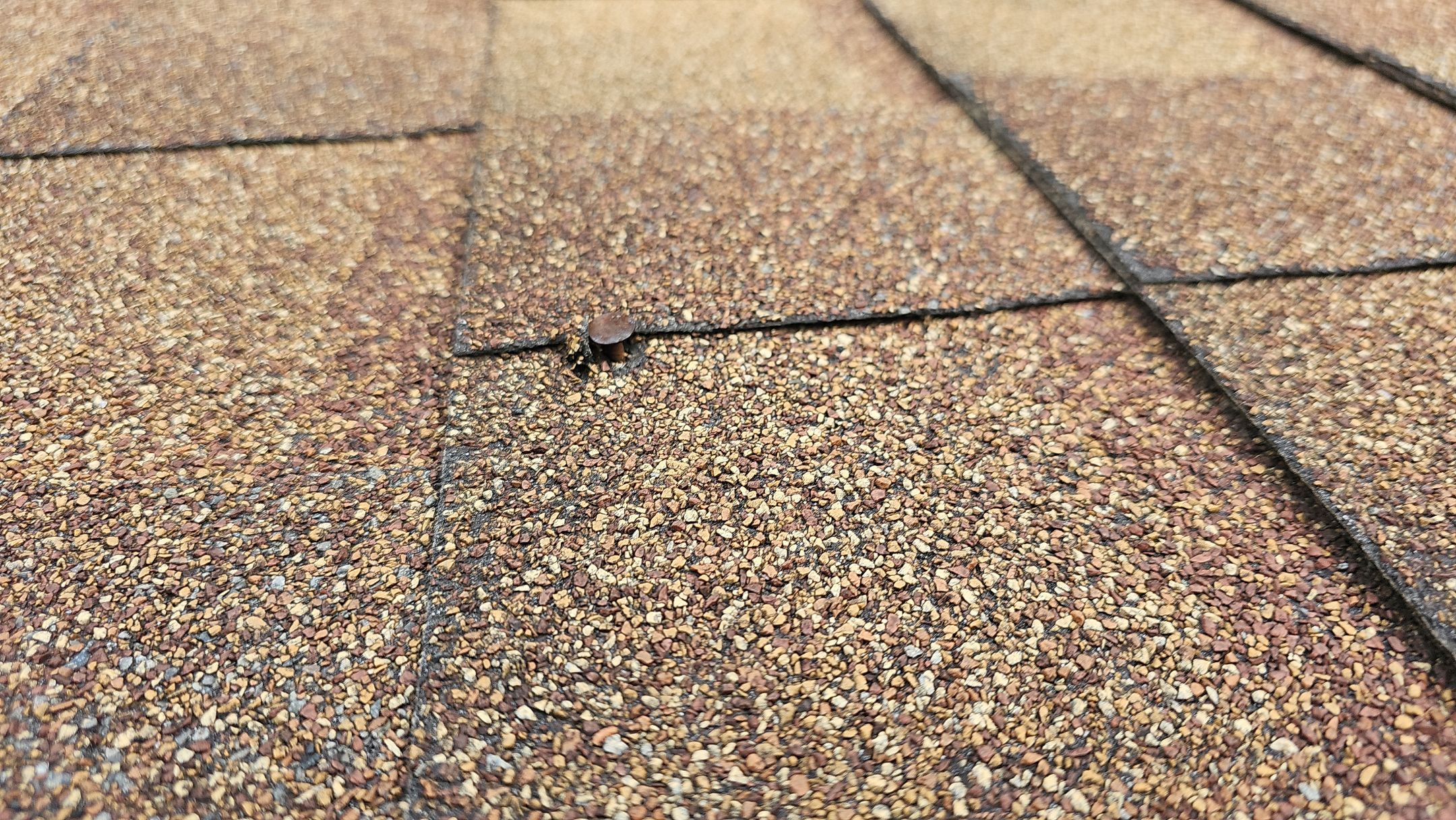 ATLAS PINNACLE COLOR: COPPER CANYON by Eagle Eye Roofing