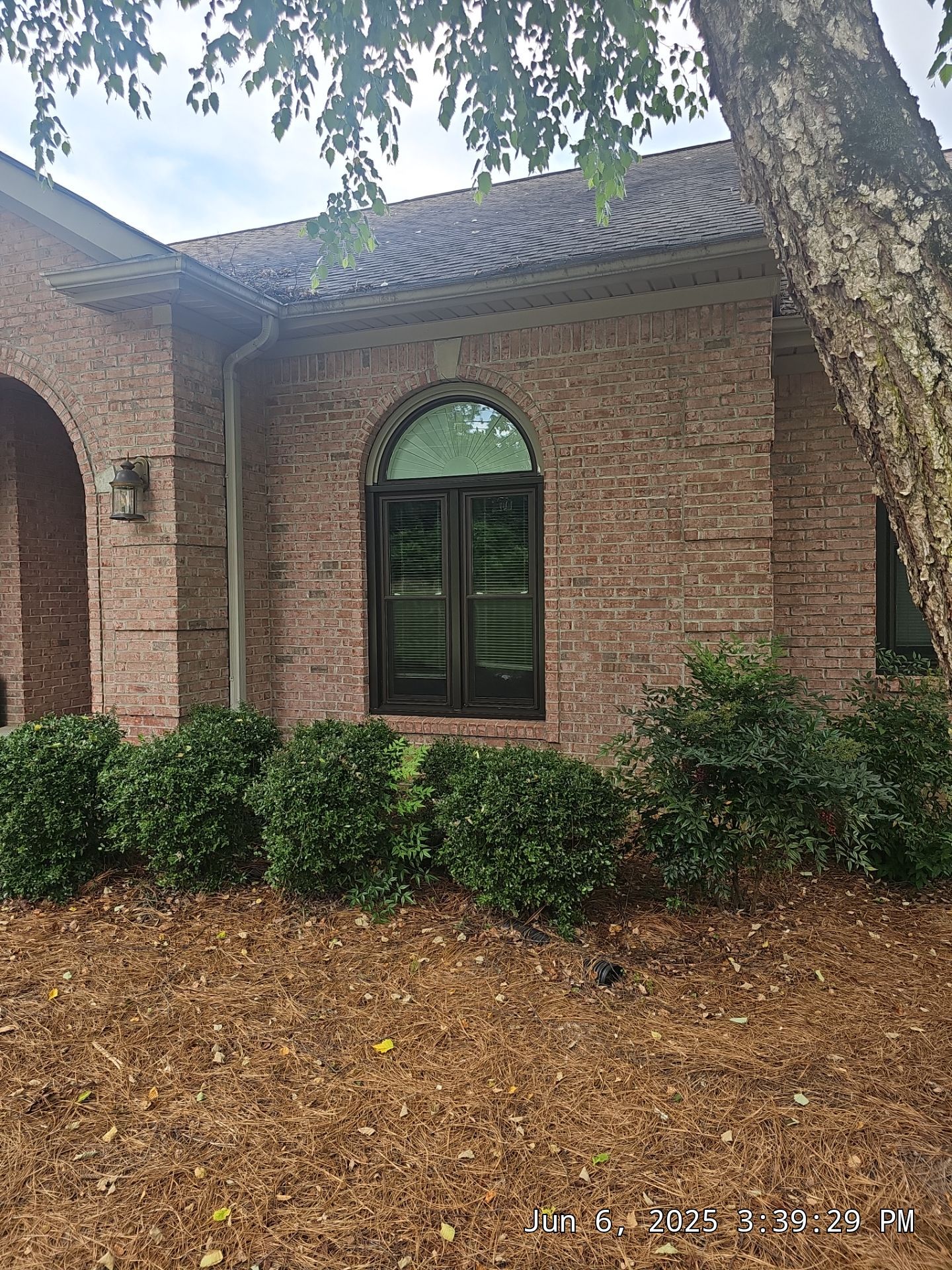 Laird Project in Helena by The Window Source