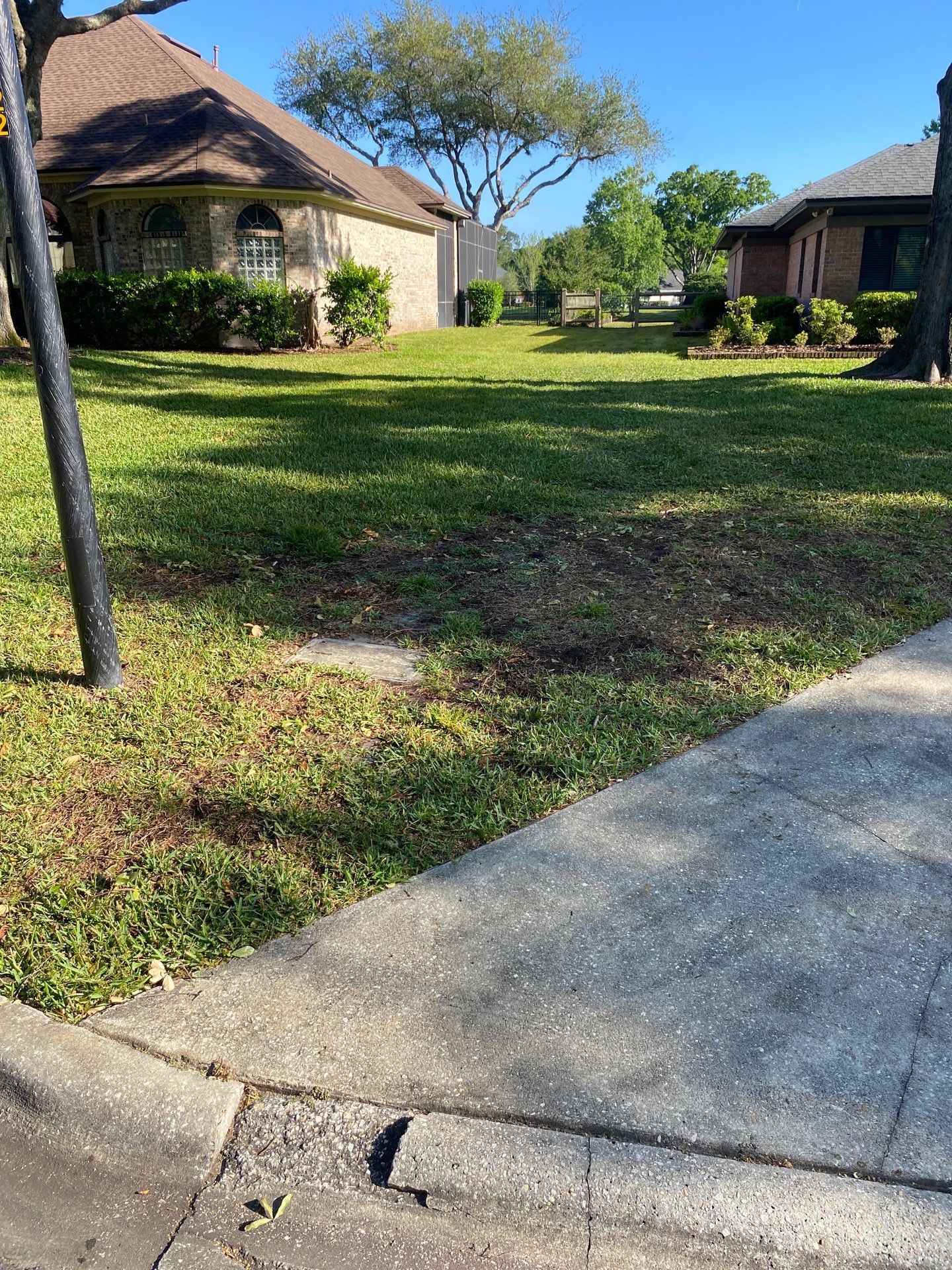 Deerwood Resident | Tree Trimming and Sod Installation) by ProGreen Services