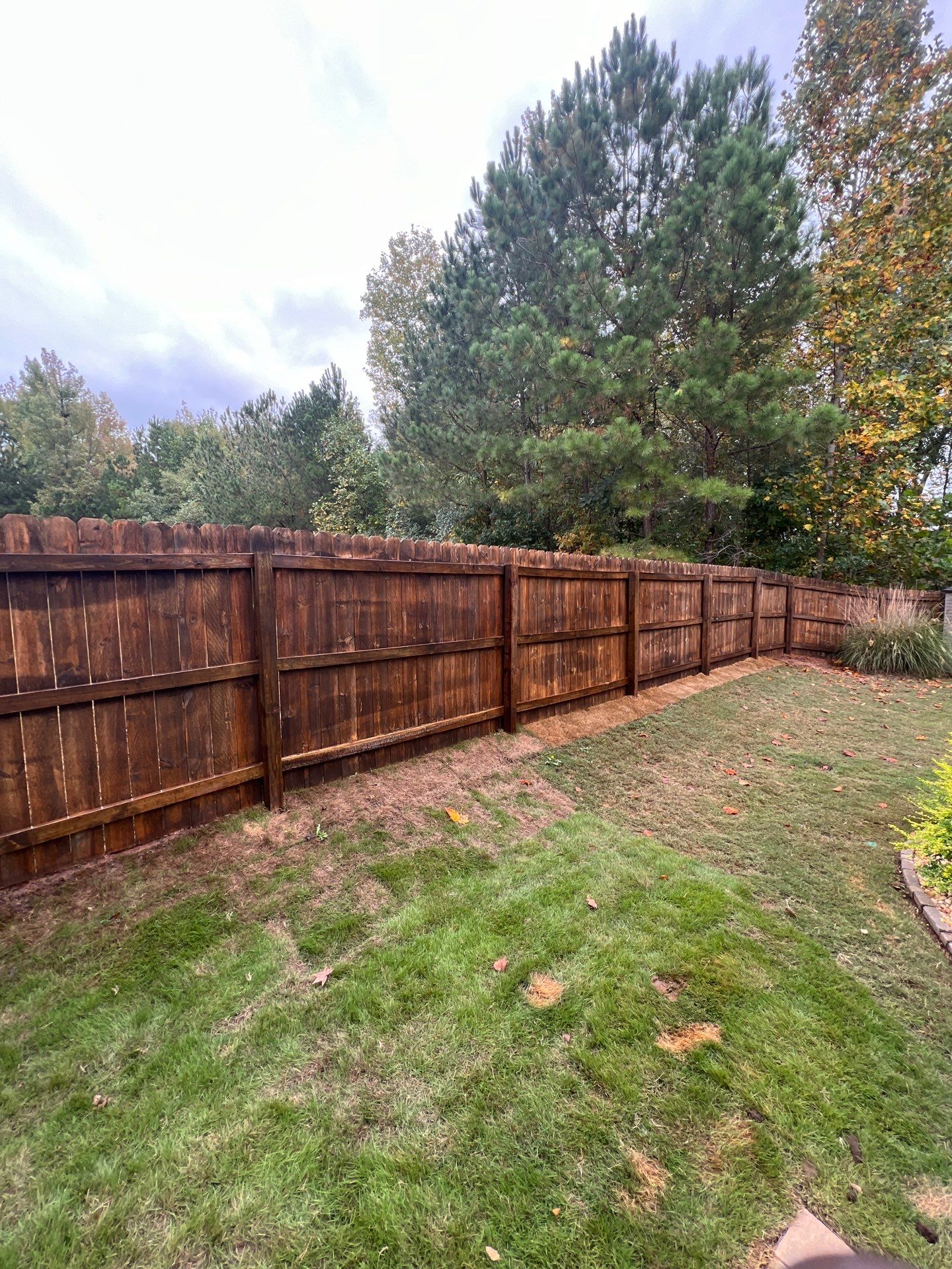 Fence Restoration using Chocolate by SSE by Titans of Timber Fence & Stain