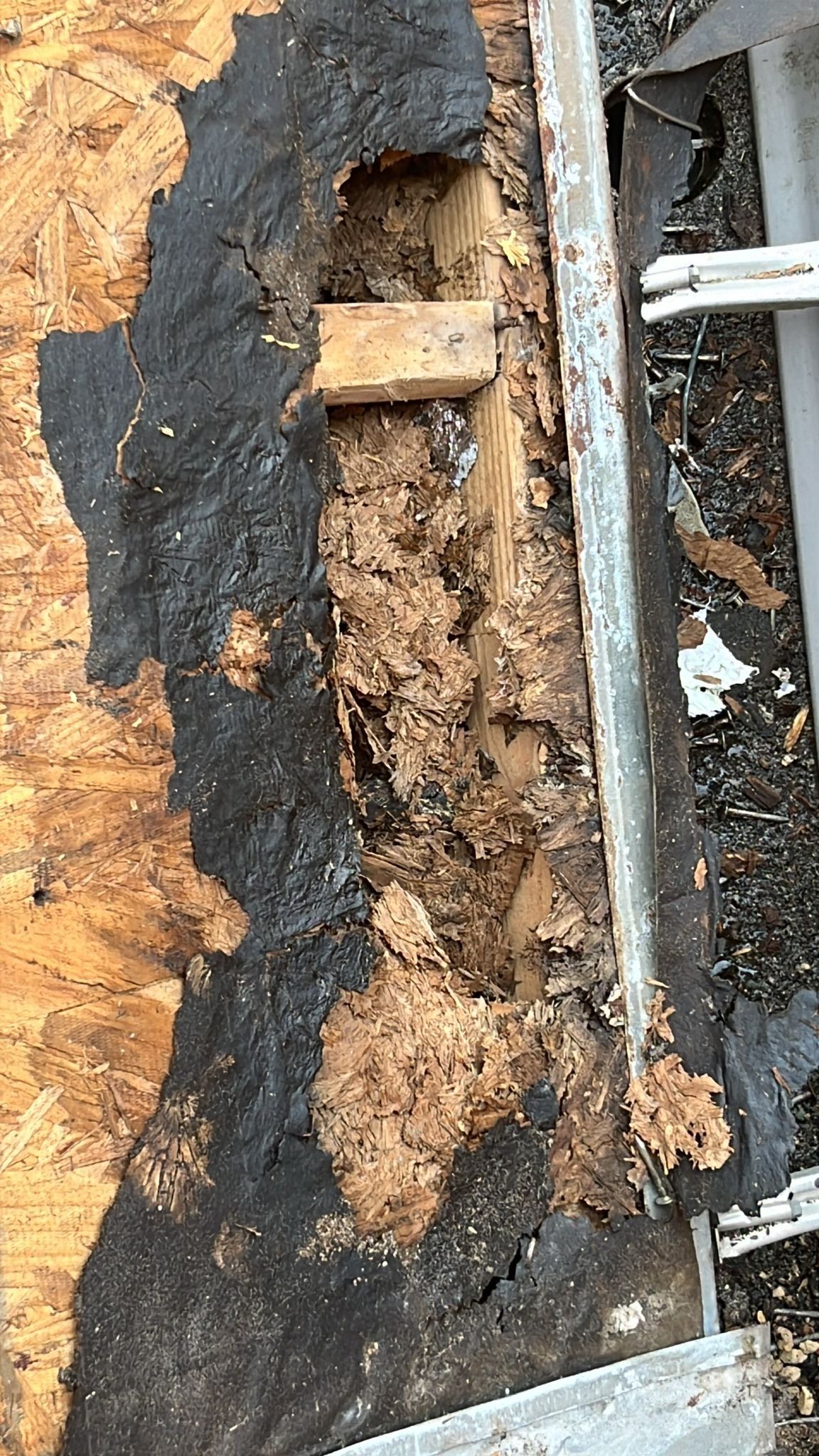 Roof Replacement Missouri City by Roof Repair Services LLC