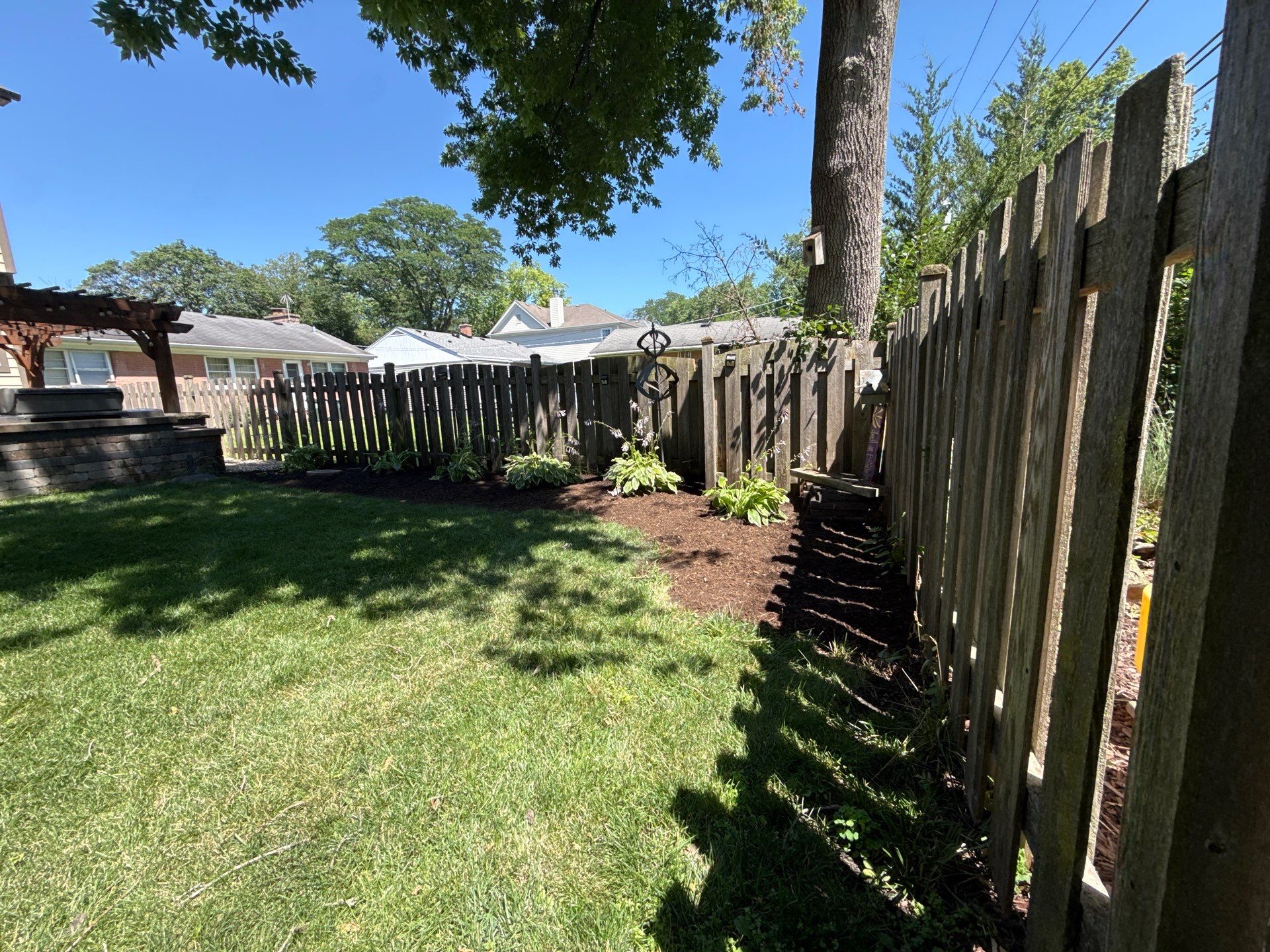 Tony B. - Arlington Heights, IL by A&N