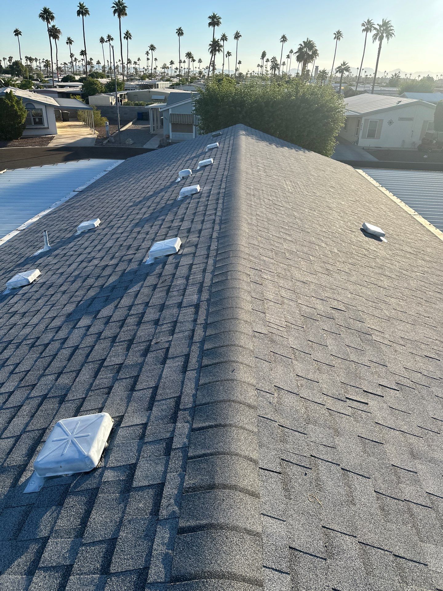 Silver Birch Shingles by Reimagine Roofing
