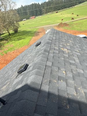 Residential Roof Installation – Junction City, OR