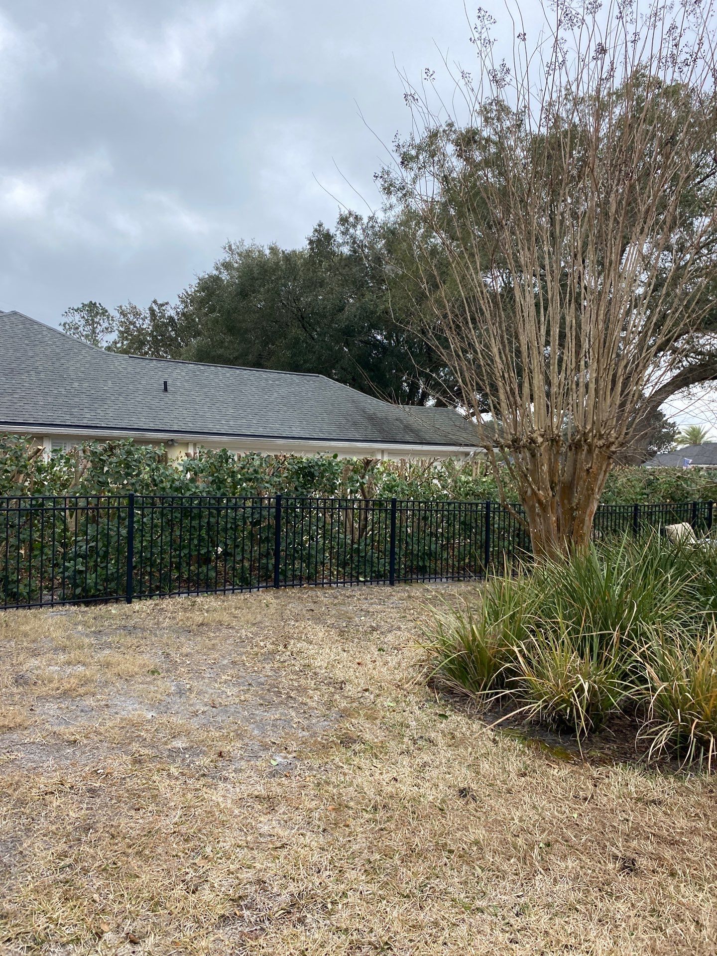 Residential | Hedge Trimming by ProGreen Services