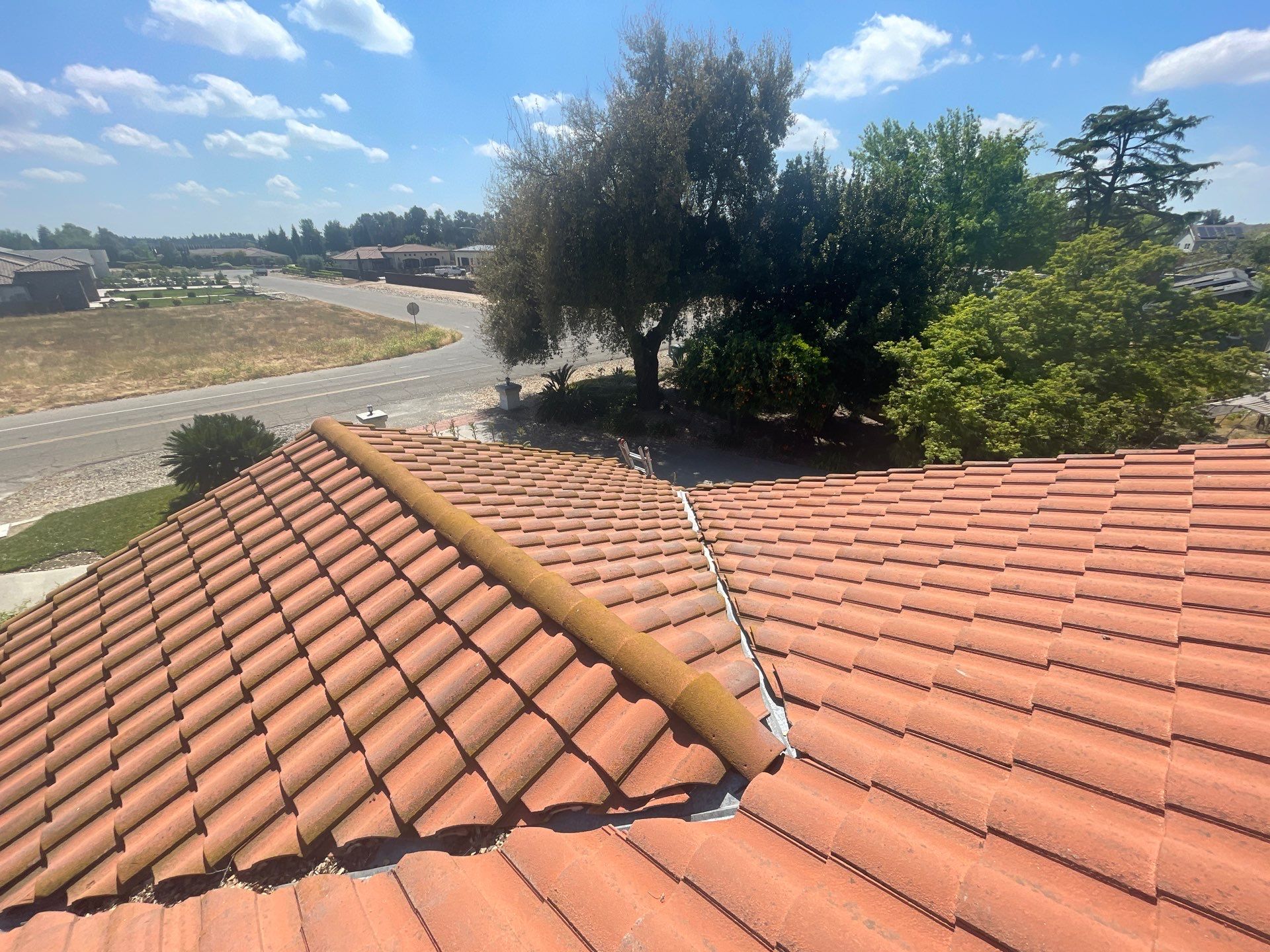 Presidential shingle roof by Straight Edge Roofing Inc