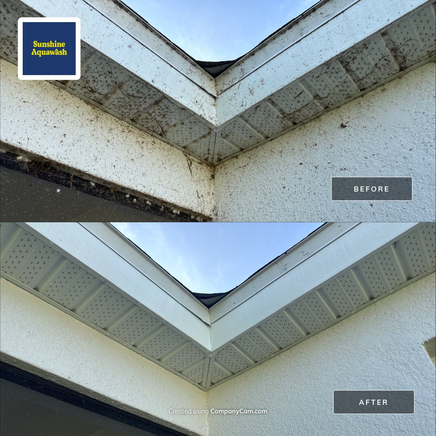 Spider Web Removal, House Wash & Lanai Cleaning in Apollo Beach, FL by Sunshine AquaWash