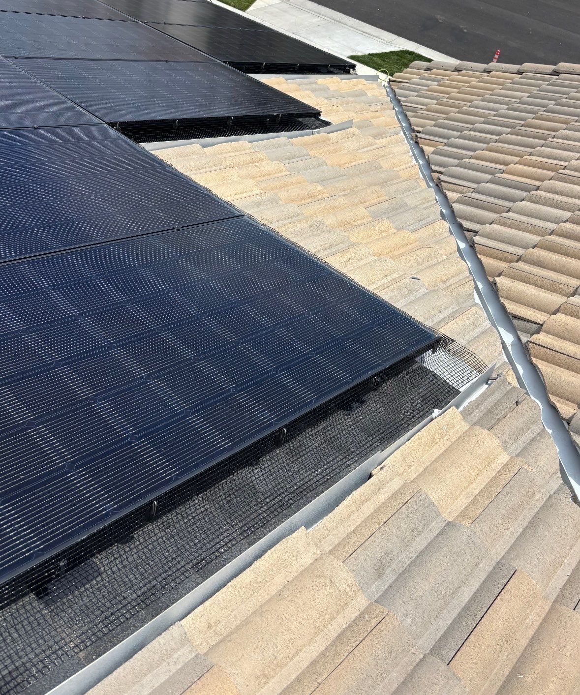 Bird Proofing by Pirate Pete’s Power Washing