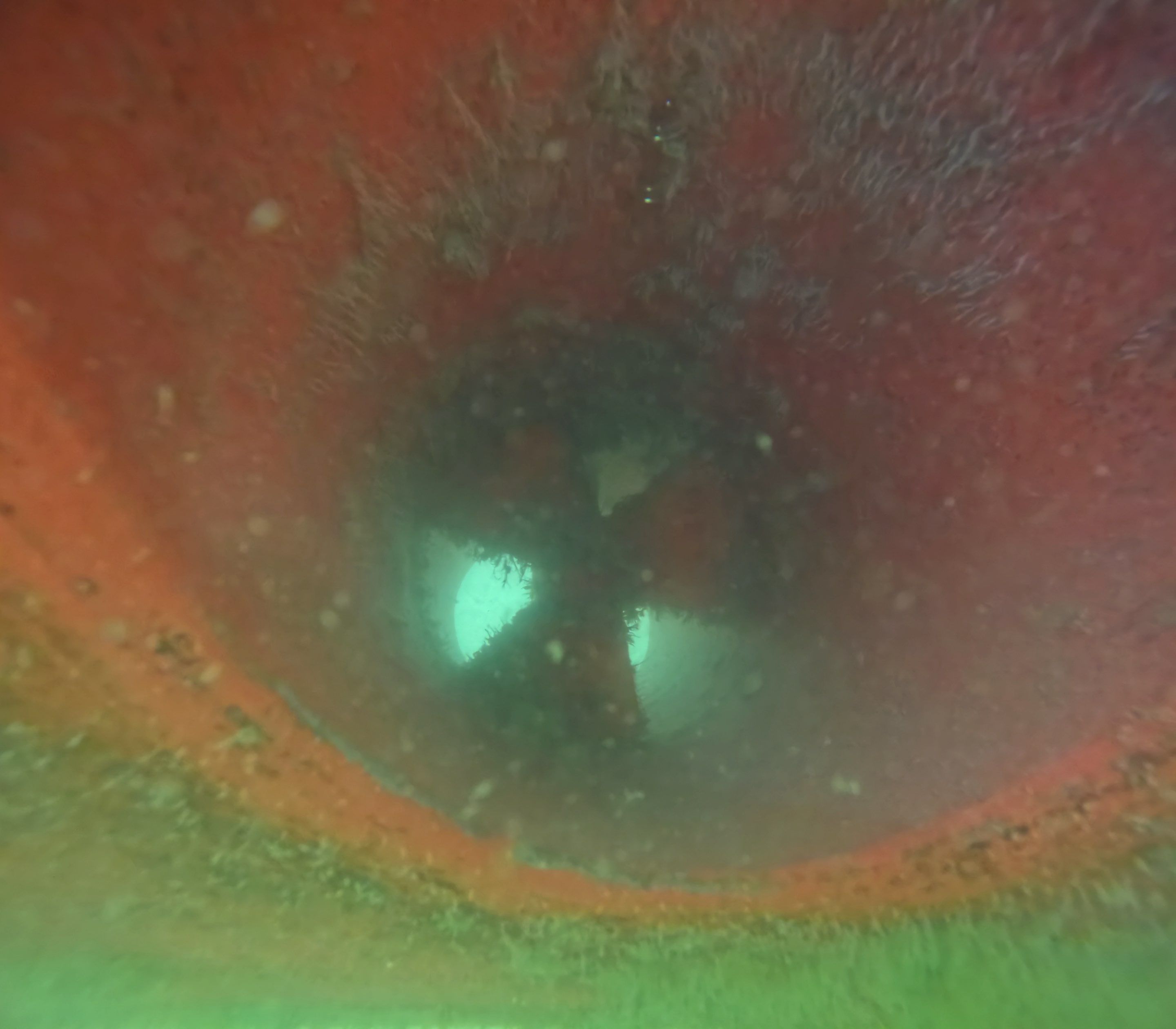 Project in North Fort Myers, FL by Florida Hull Cleaning 