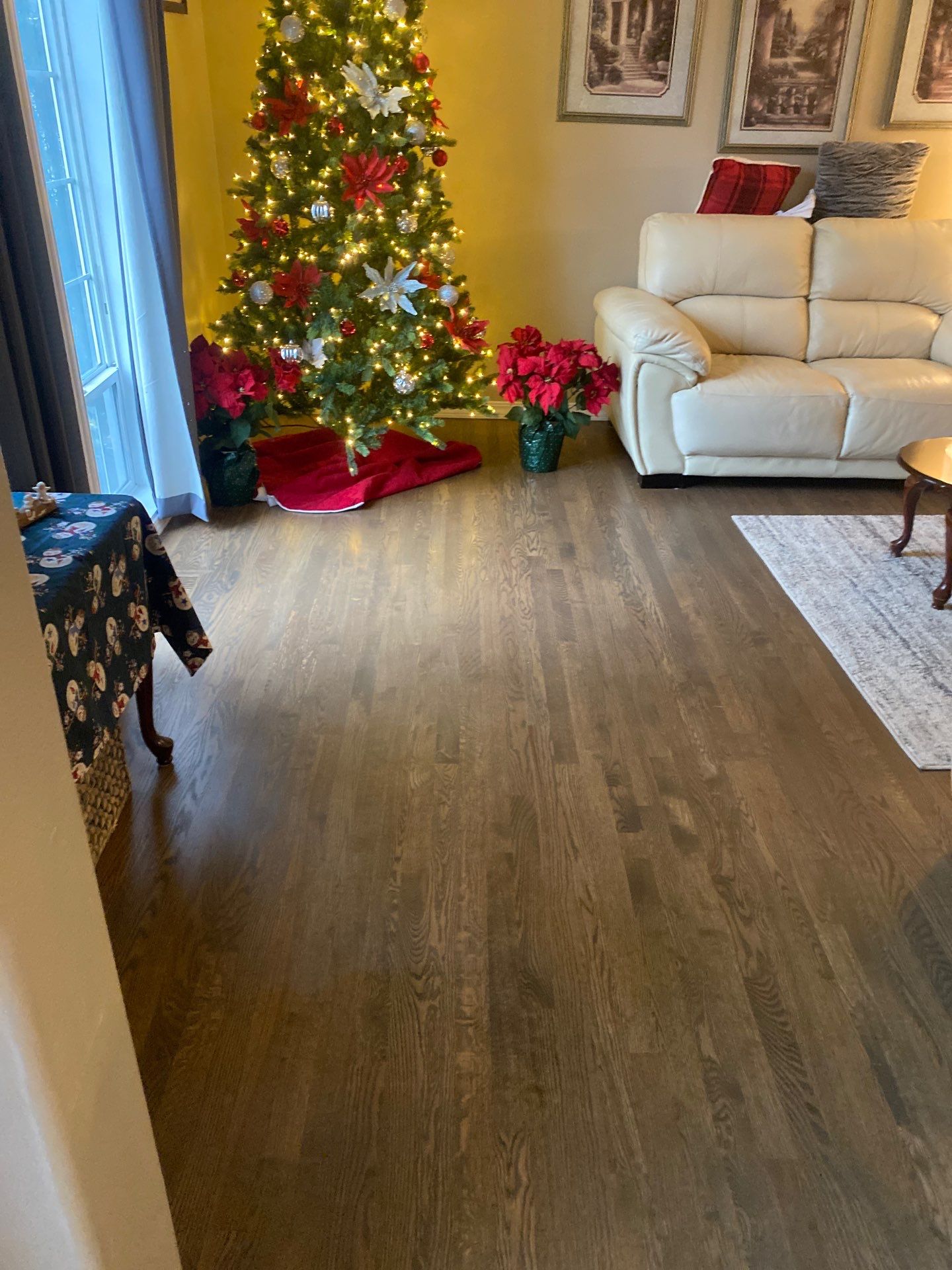 House cleaner Project in Tigard by Cloud 9 Professional Cleaning Services