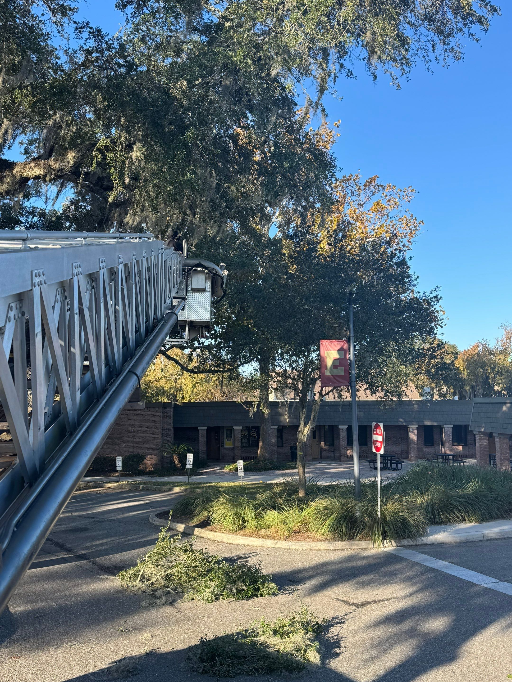 Volunteer Work | Episcopal High School of Jacksonville by ProGreen Services