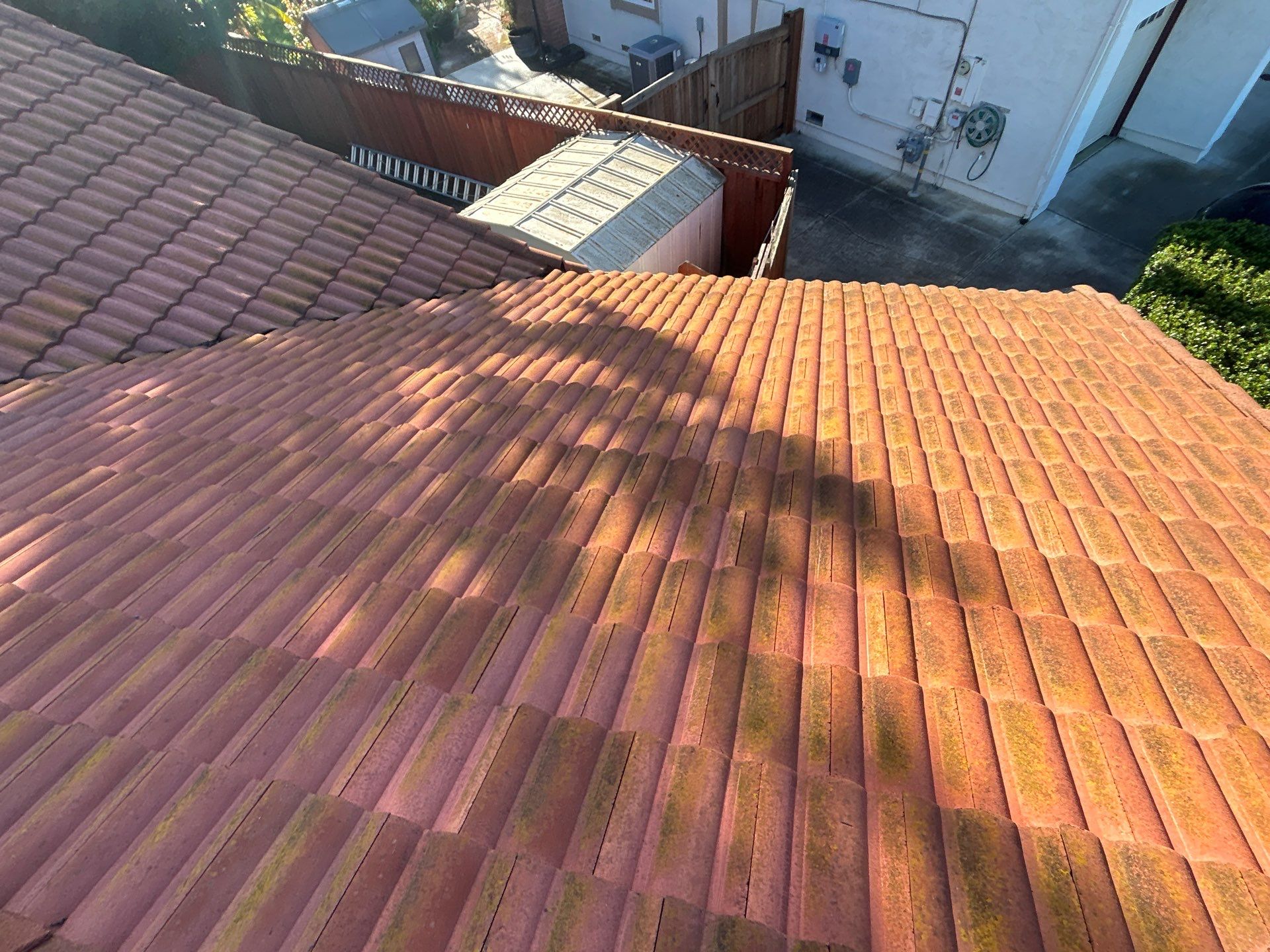 Insurance Renewal-Roof Cleaning by All One Solar Shine