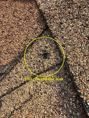 Residential Roof Leak Repair and Structural Wood Replacement in Frederick