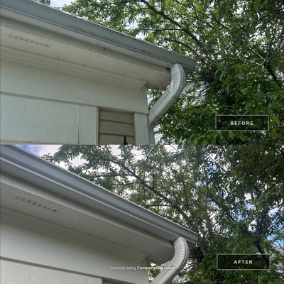 Project in Bartlett