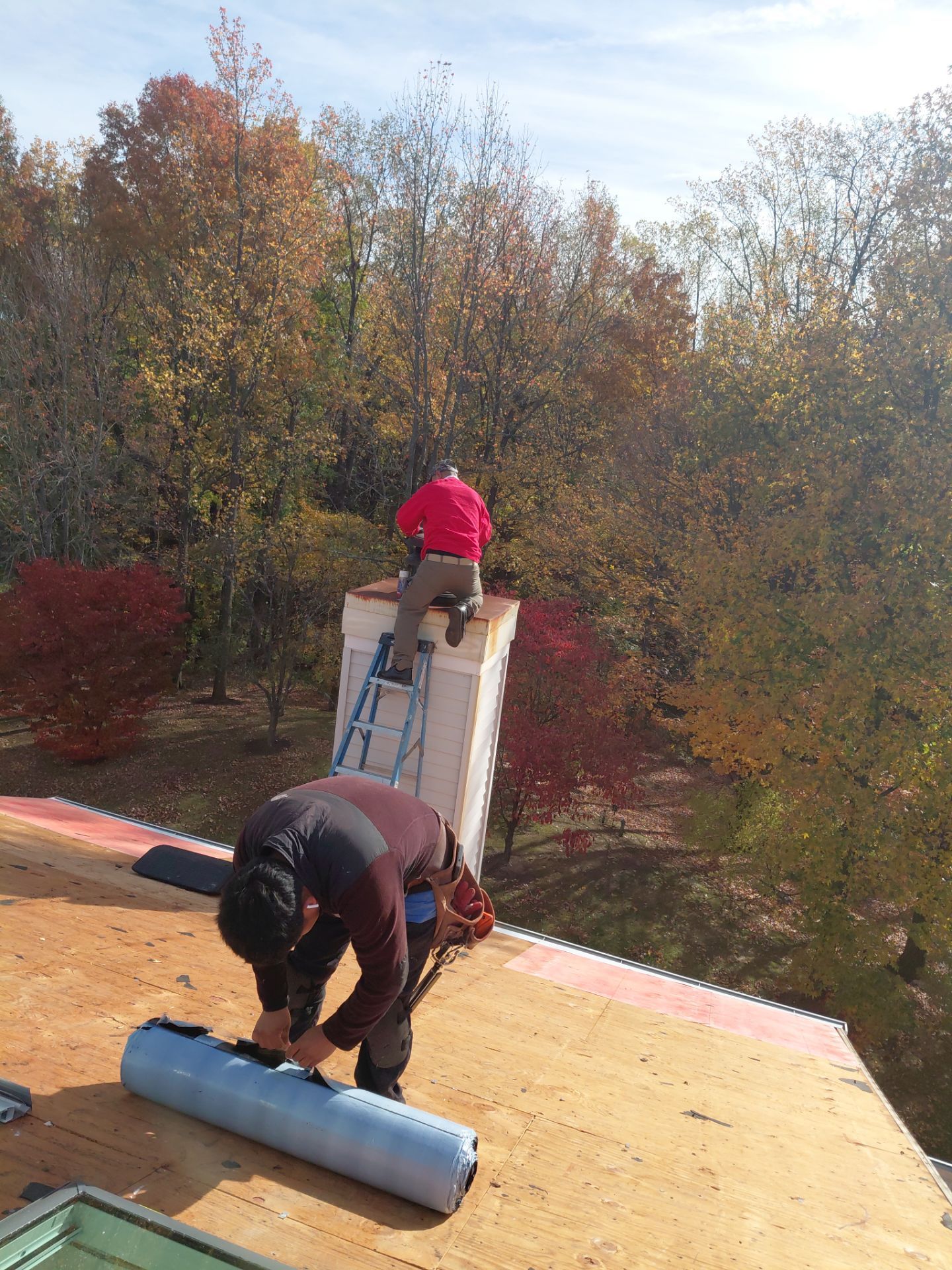 Alexandria : Residential Roof Replacement with CertainTeed Landmark Pro in Max Def Weathered Wood by RM Banning, Inc.