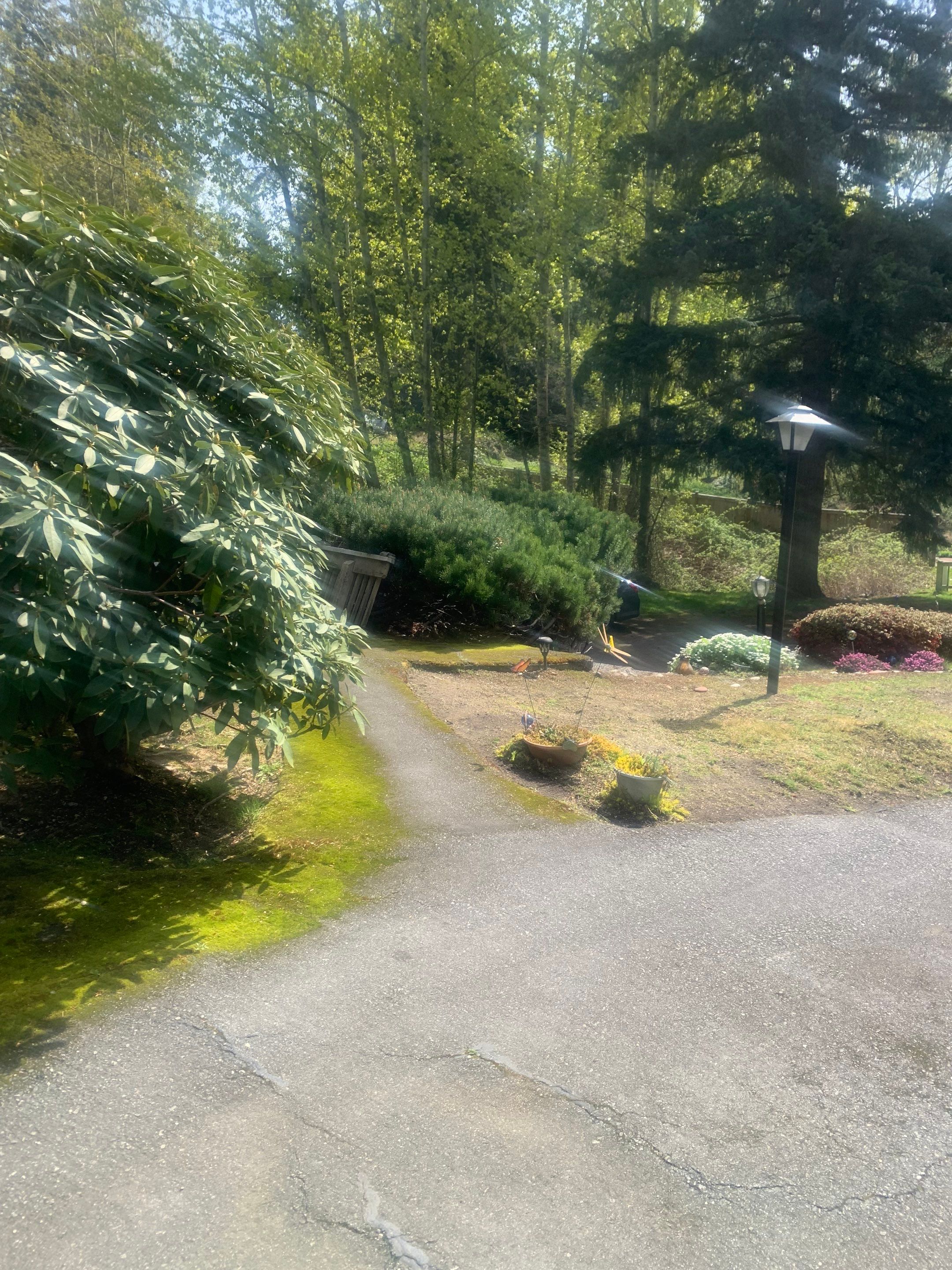 Modern Entry Fence by Jireh Asphalt & Concrete Inc 