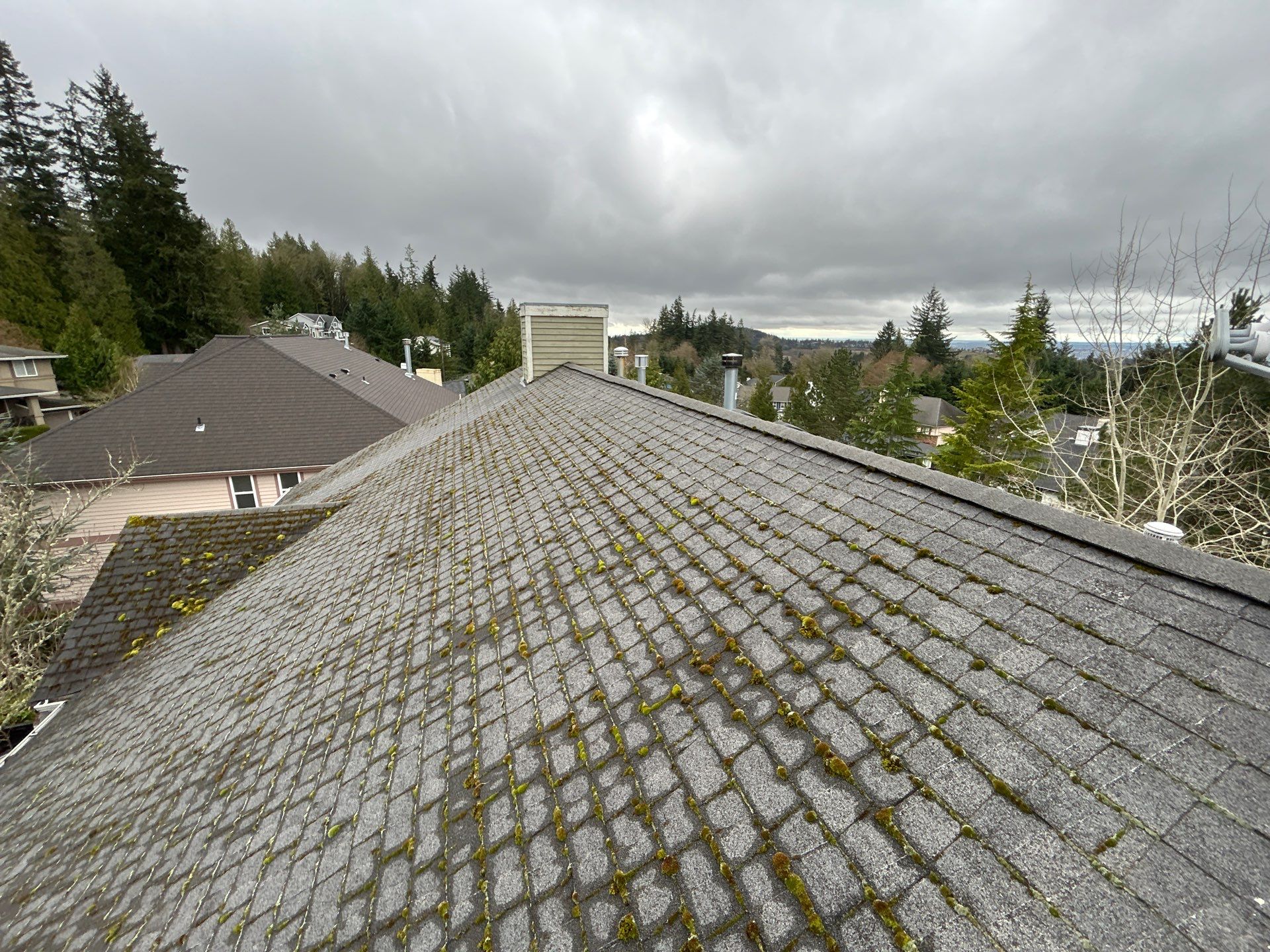 Project in Bellevue by Peaks and Valleys Construction
